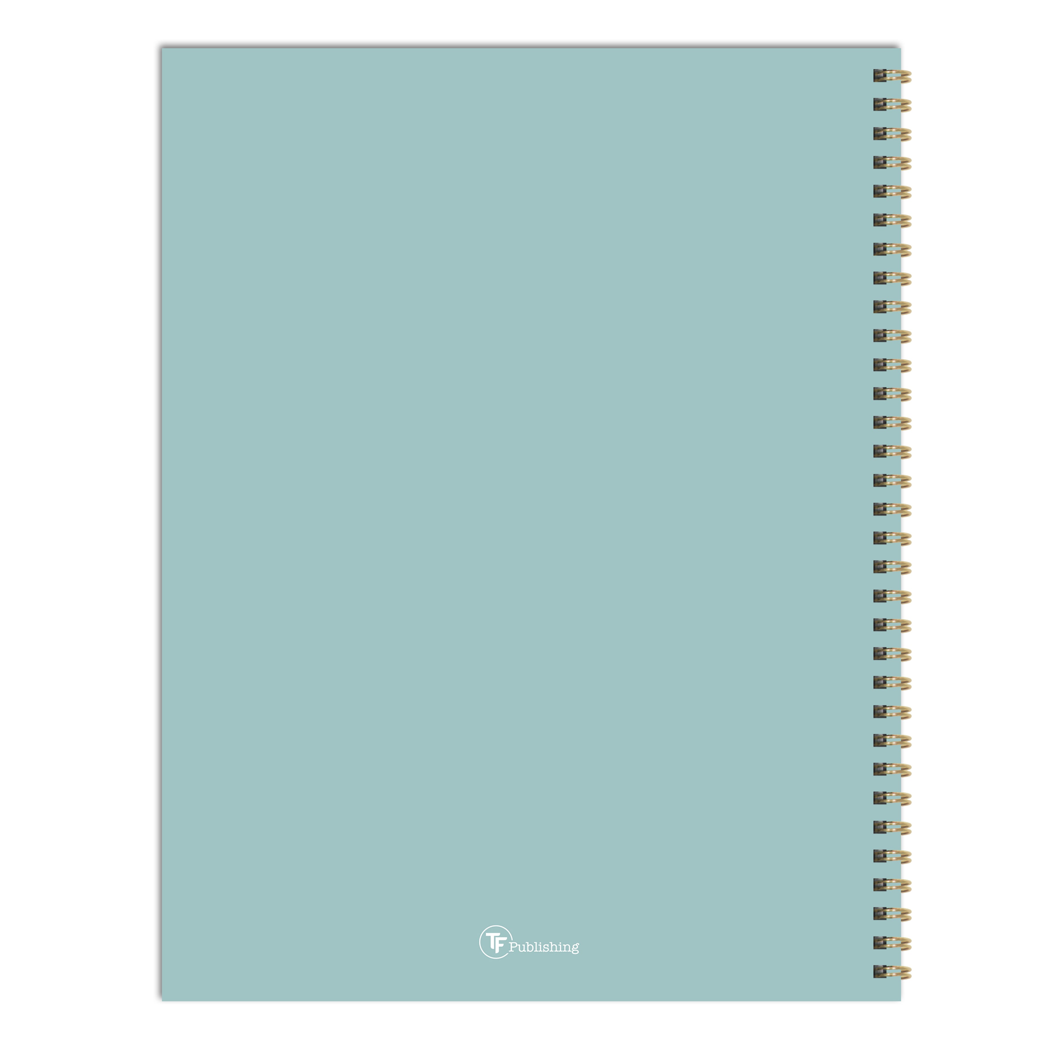2026 Robin's Egg - Large Monthly & Weekly Pocket Diary/Planner