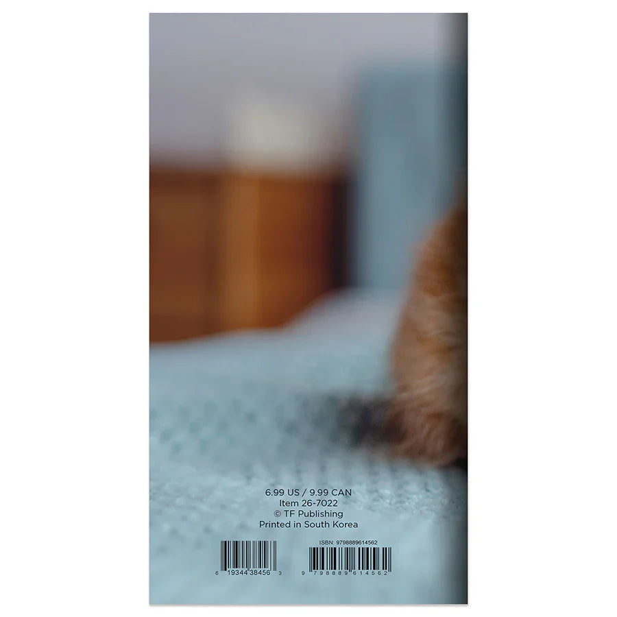 2026-2027 Kitten - Small Monthly Pocket Diary/Planner