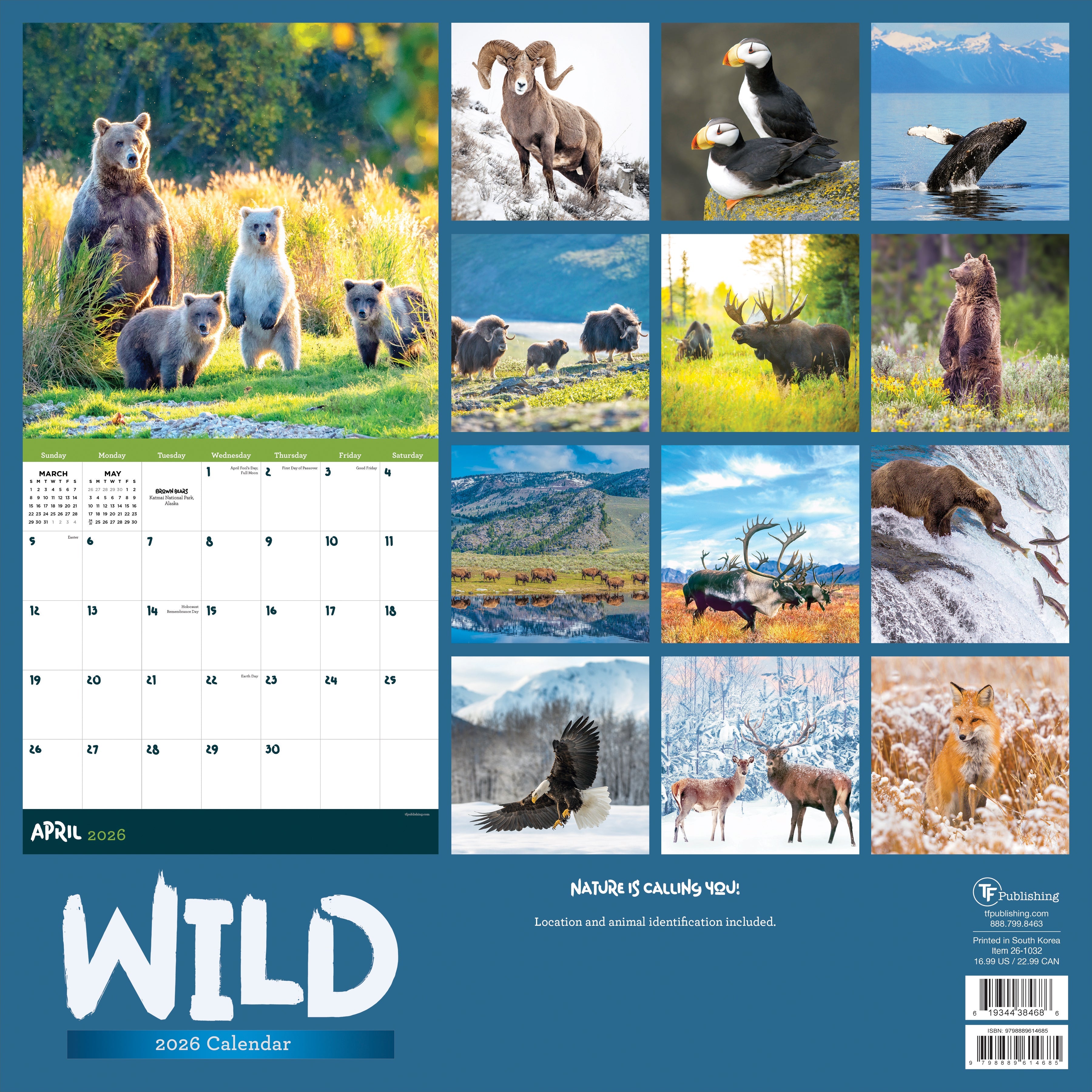 2026 Wild - Square Wall Calendar