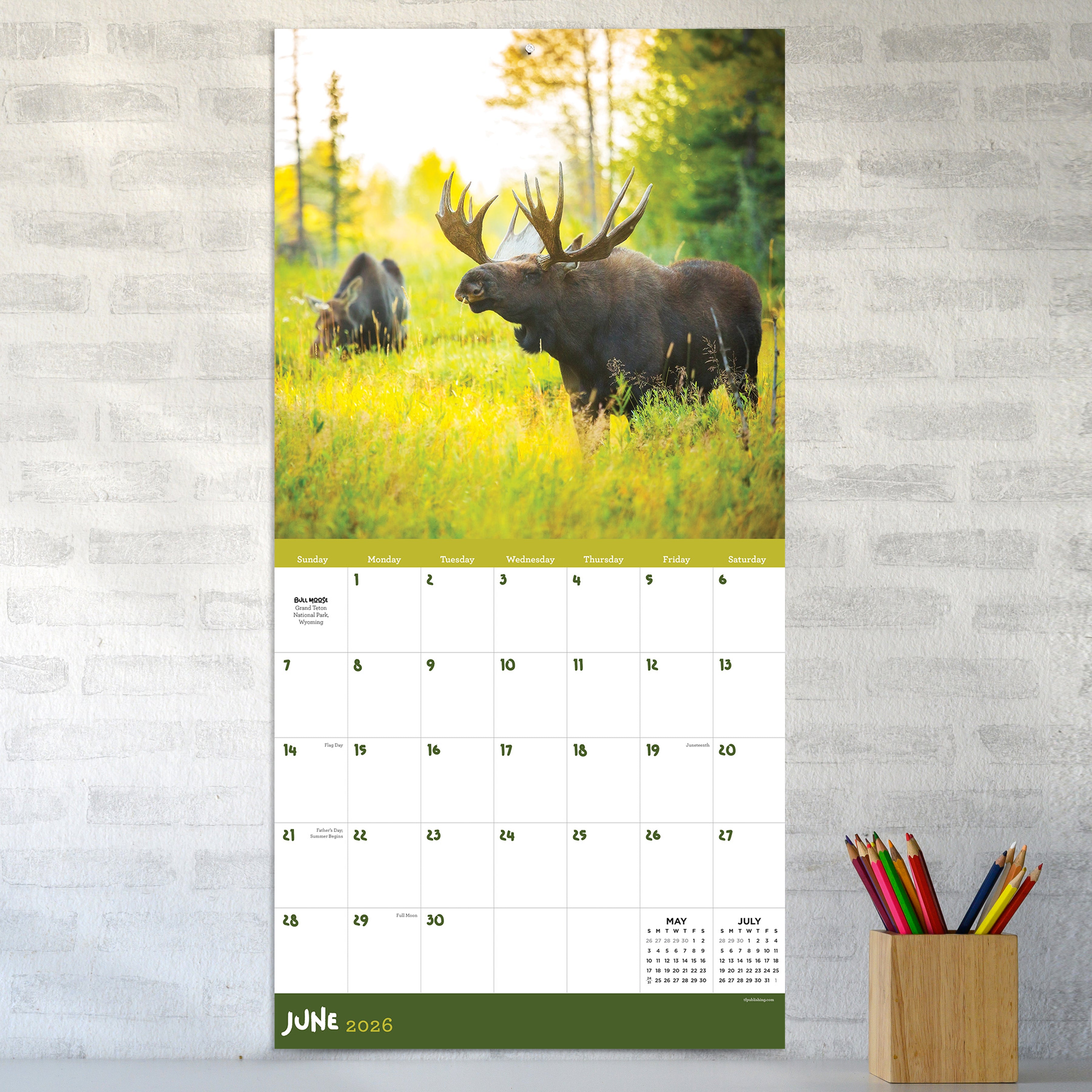 2026 Wild - Square Wall Calendar