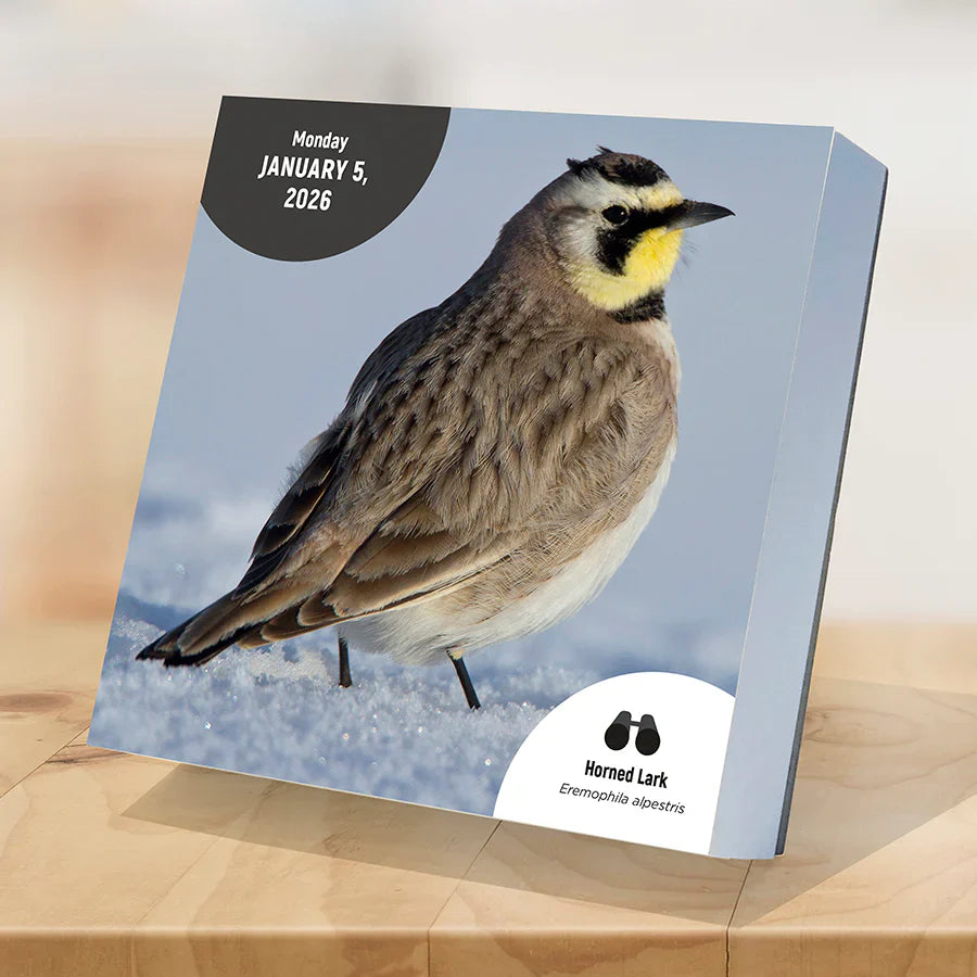 2026 Birds: Backyard & Beyond - Daily Boxed Page-A-Day Calendar