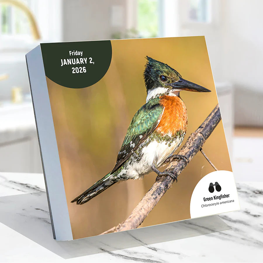 2026 Birds: Backyard & Beyond - Daily Boxed Page-A-Day Calendar