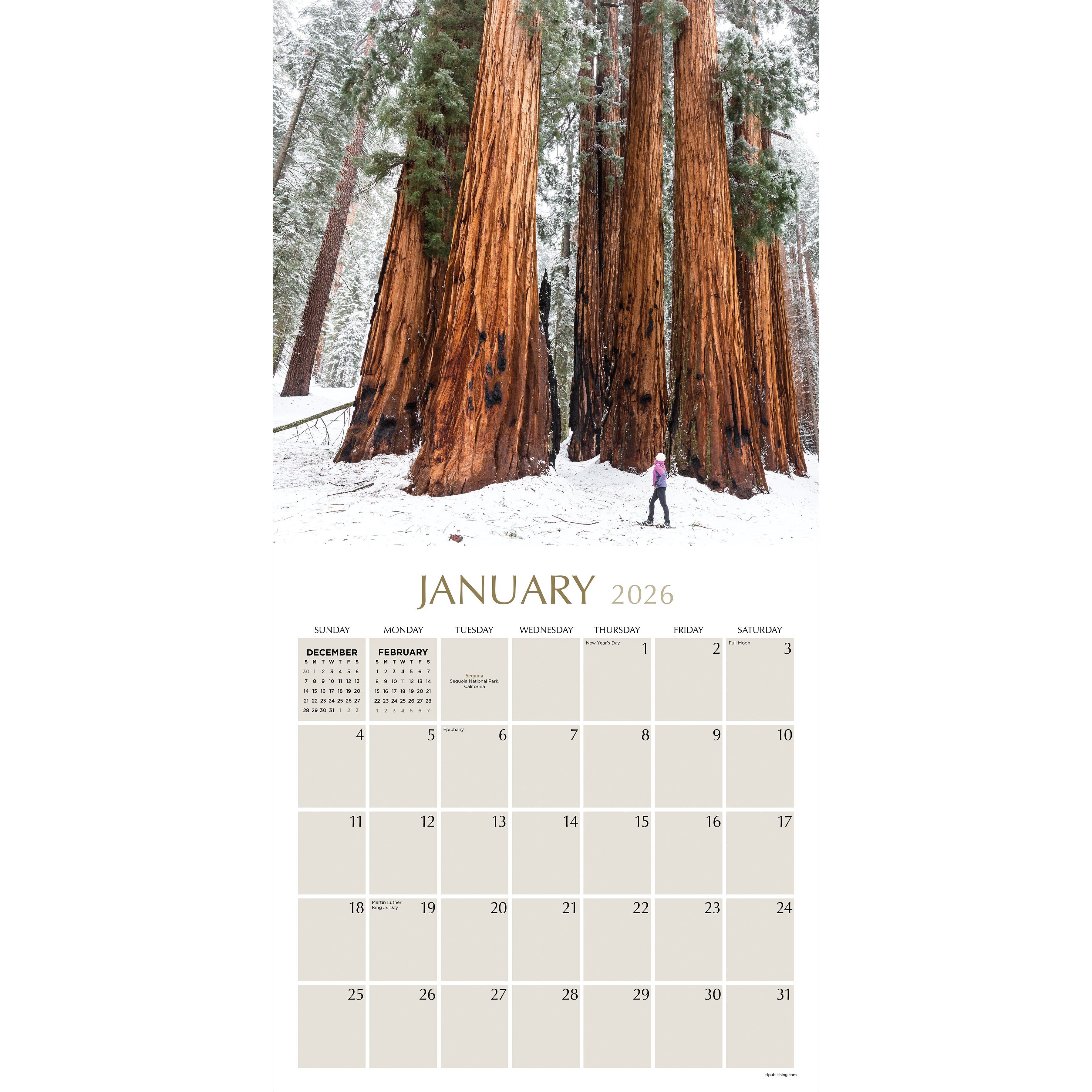 2026 Trees - Square Wall Calendar