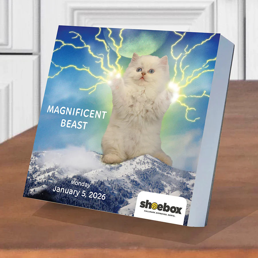 2026 Shoebox - Daily Boxed Page-A-Day Calendar