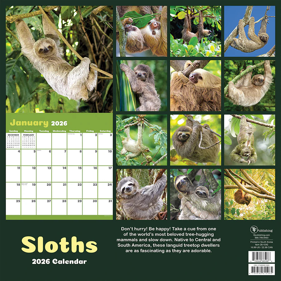 2026 Sloths - Square Wall Calendar