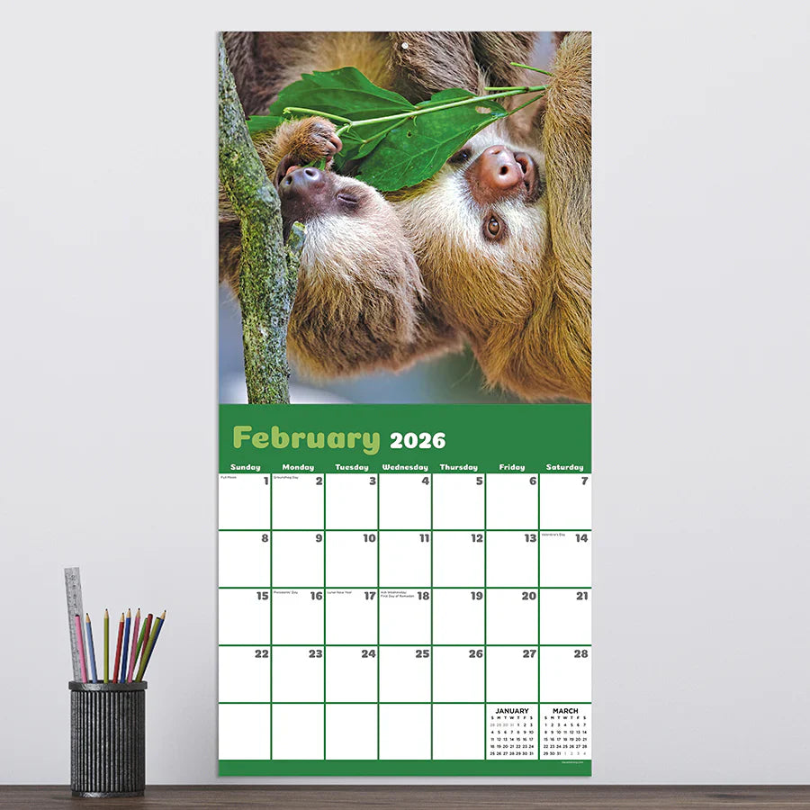 2026 Sloths - Square Wall Calendar