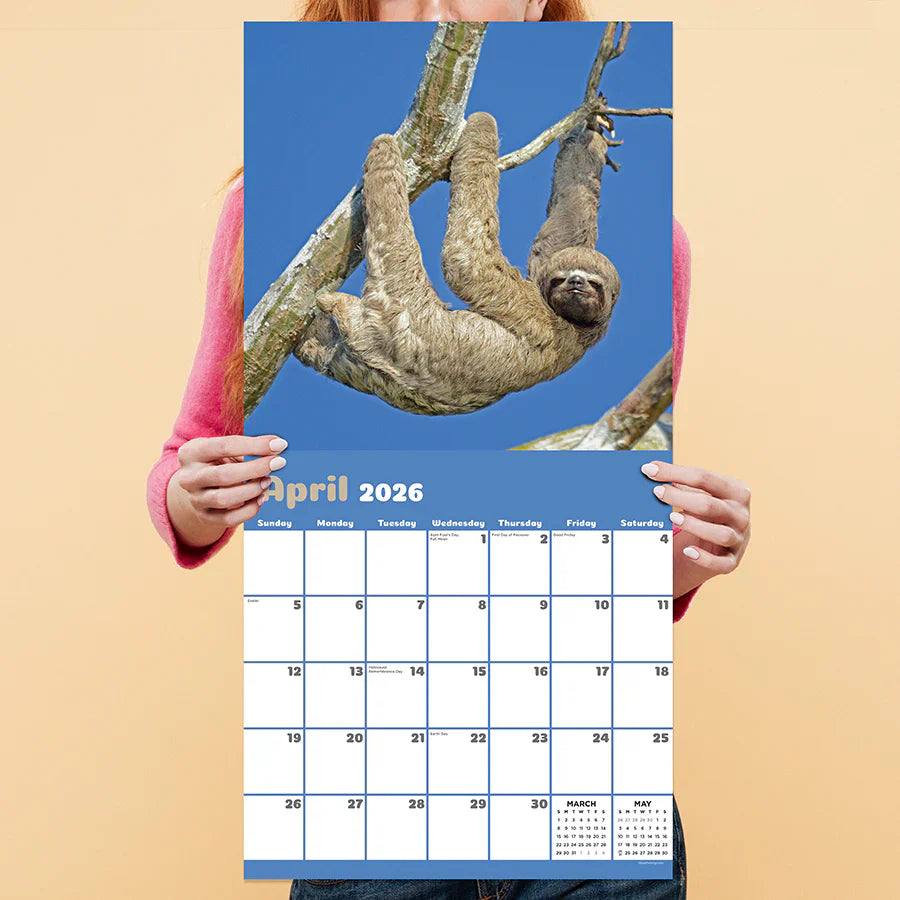 2026 Sloths - Square Wall Calendar