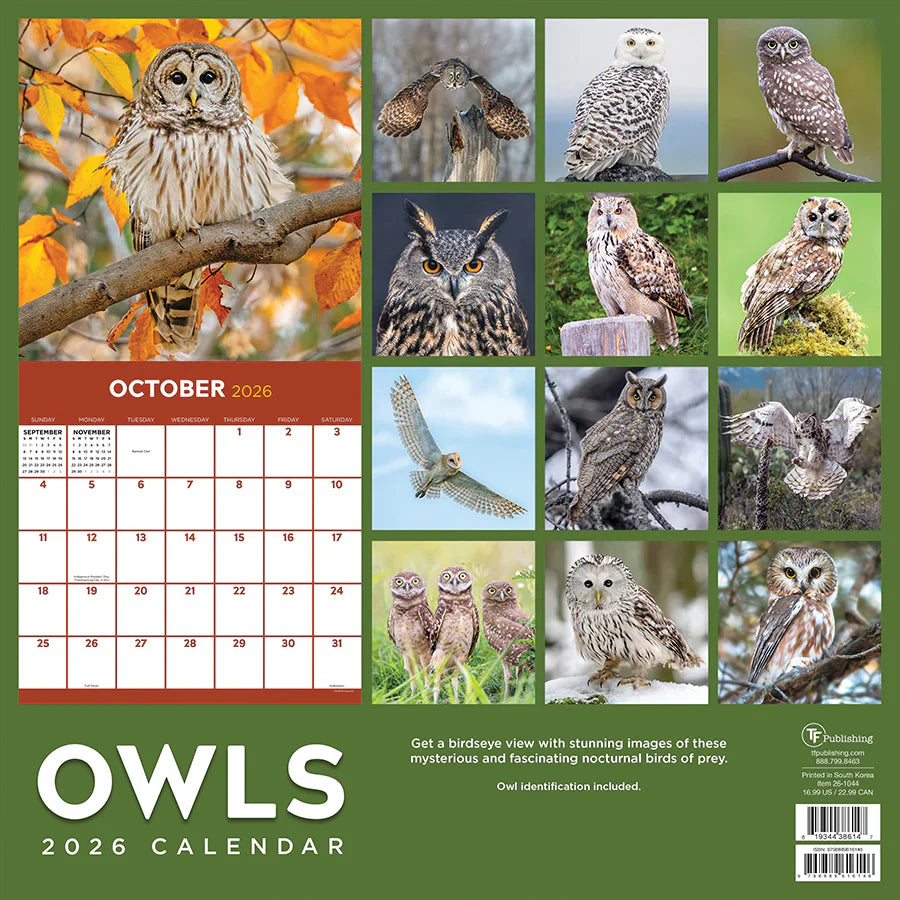 2026 Owls - Square Wall Calendar