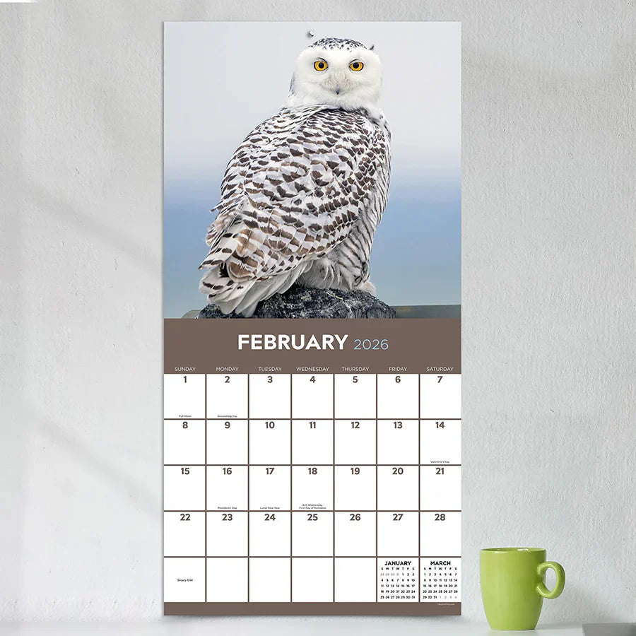 2026 Owls - Square Wall Calendar