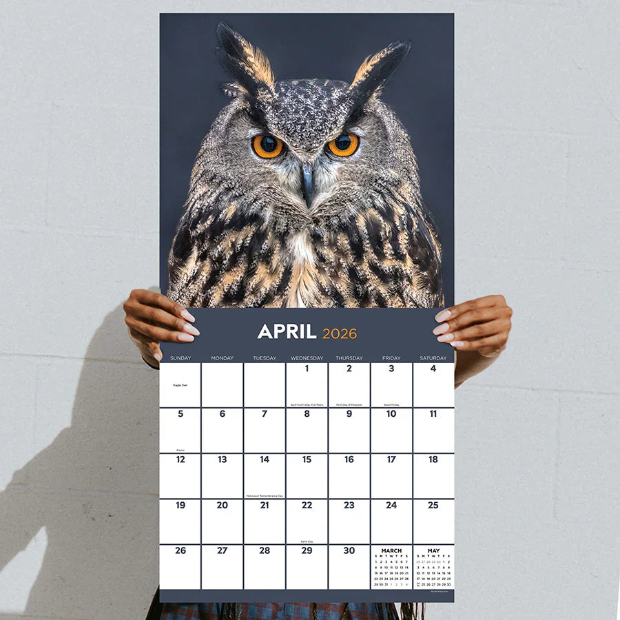 2026 Owls - Square Wall Calendar