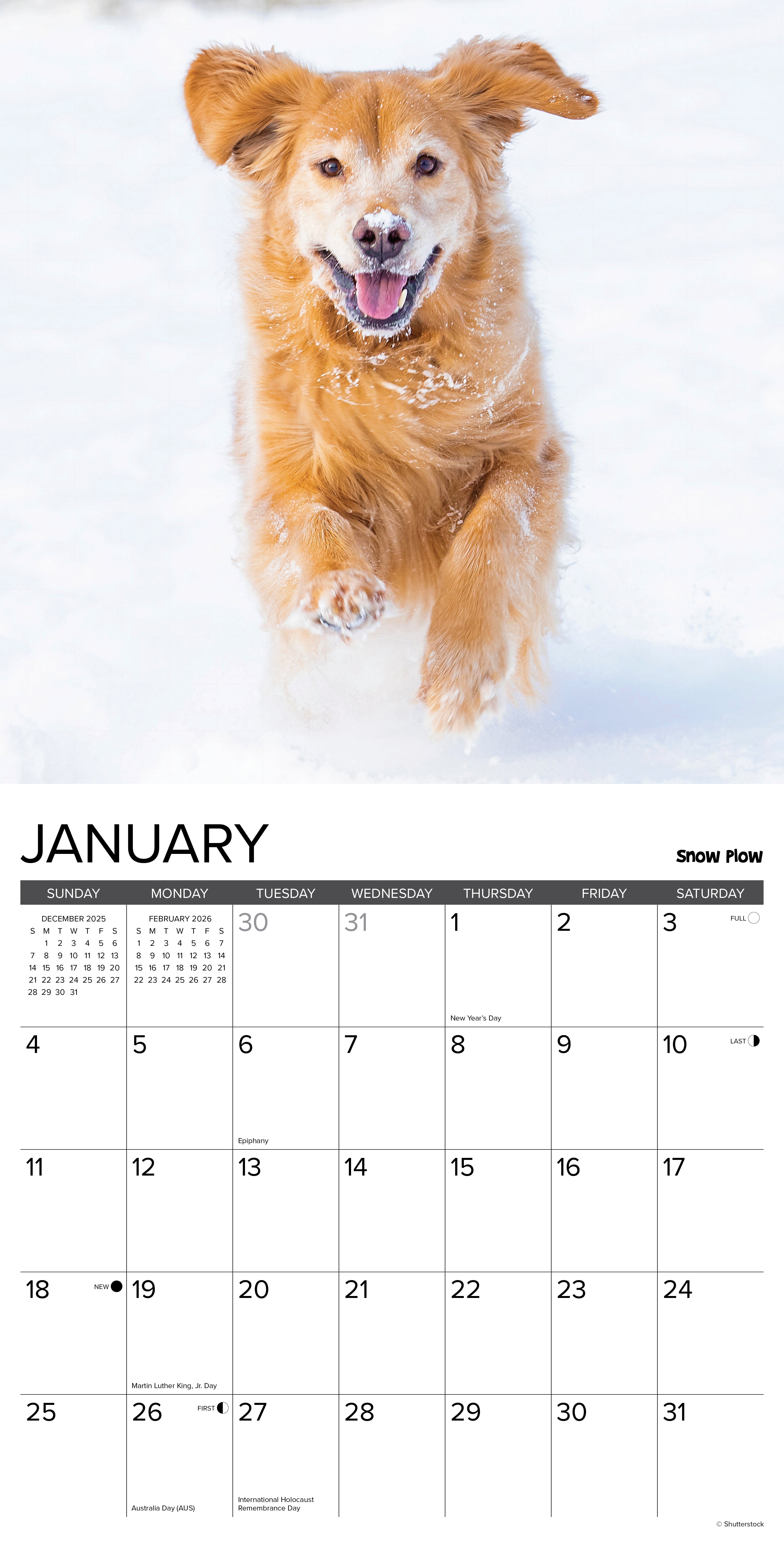 2026 12 Uses for a Golden - Square Wall Calendar