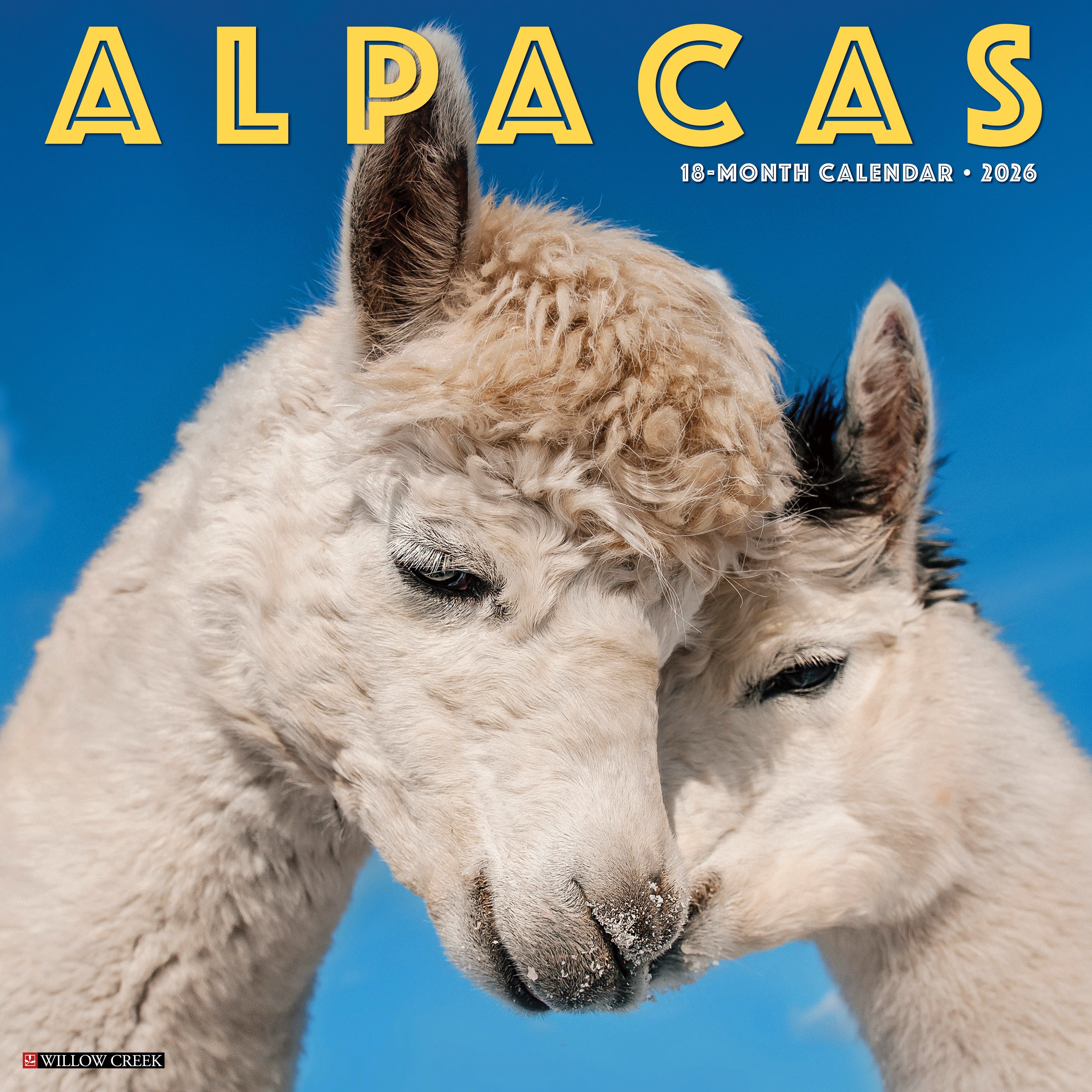 2026 Alpacas - Square Wall Calendar