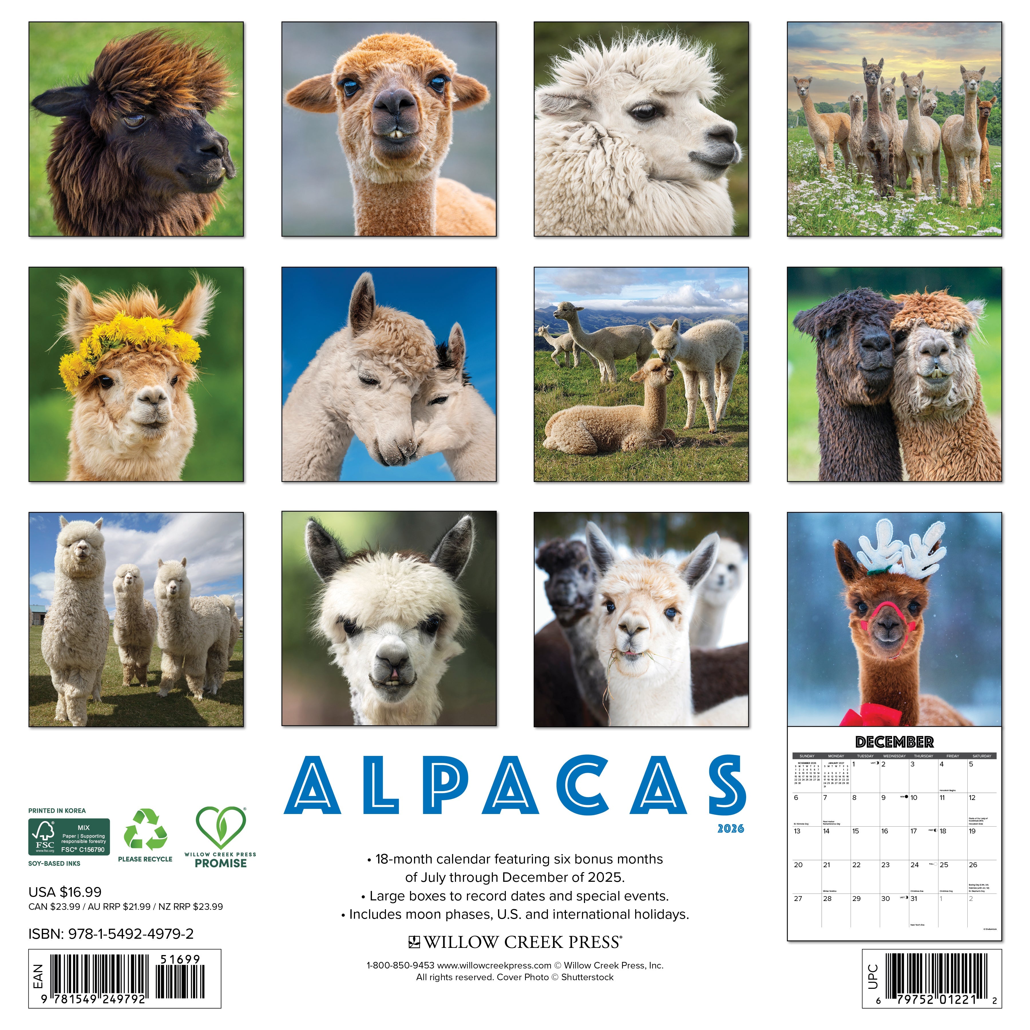 2026 Alpacas - Square Wall Calendar