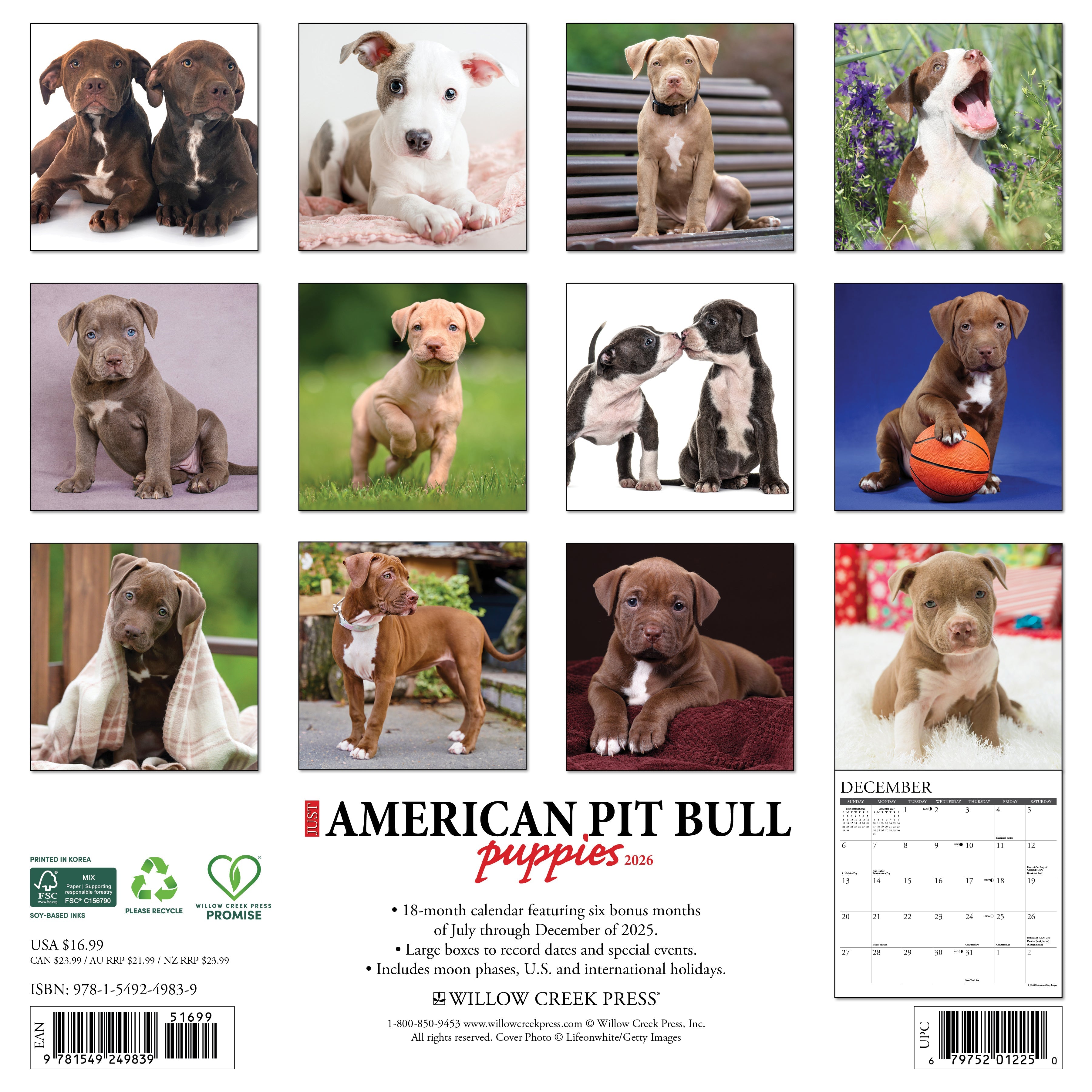 2026 American Pit Bull Terrier Puppies - Square Wall Calendar