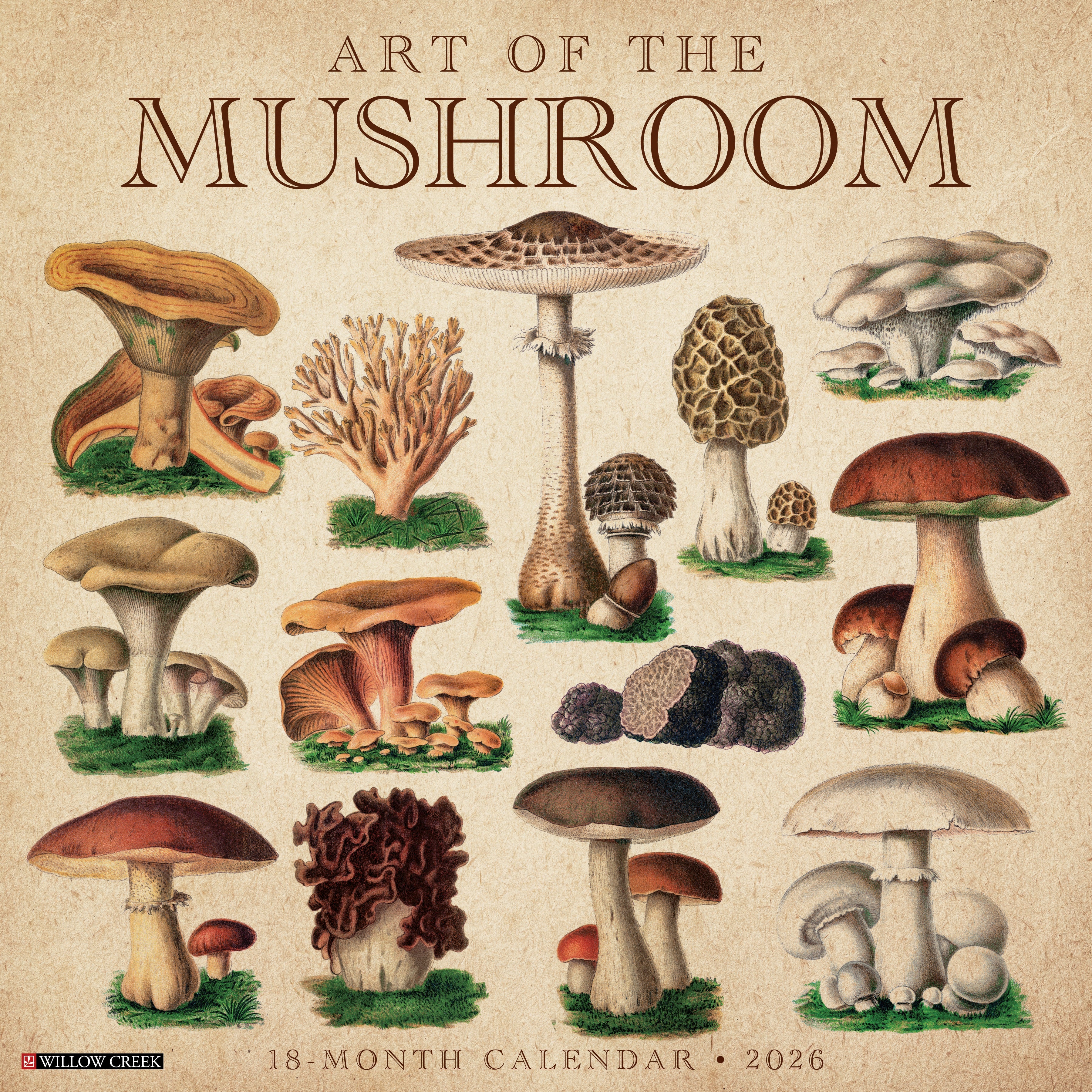 2026 Art of the Mushroom - Square Wall Calendar