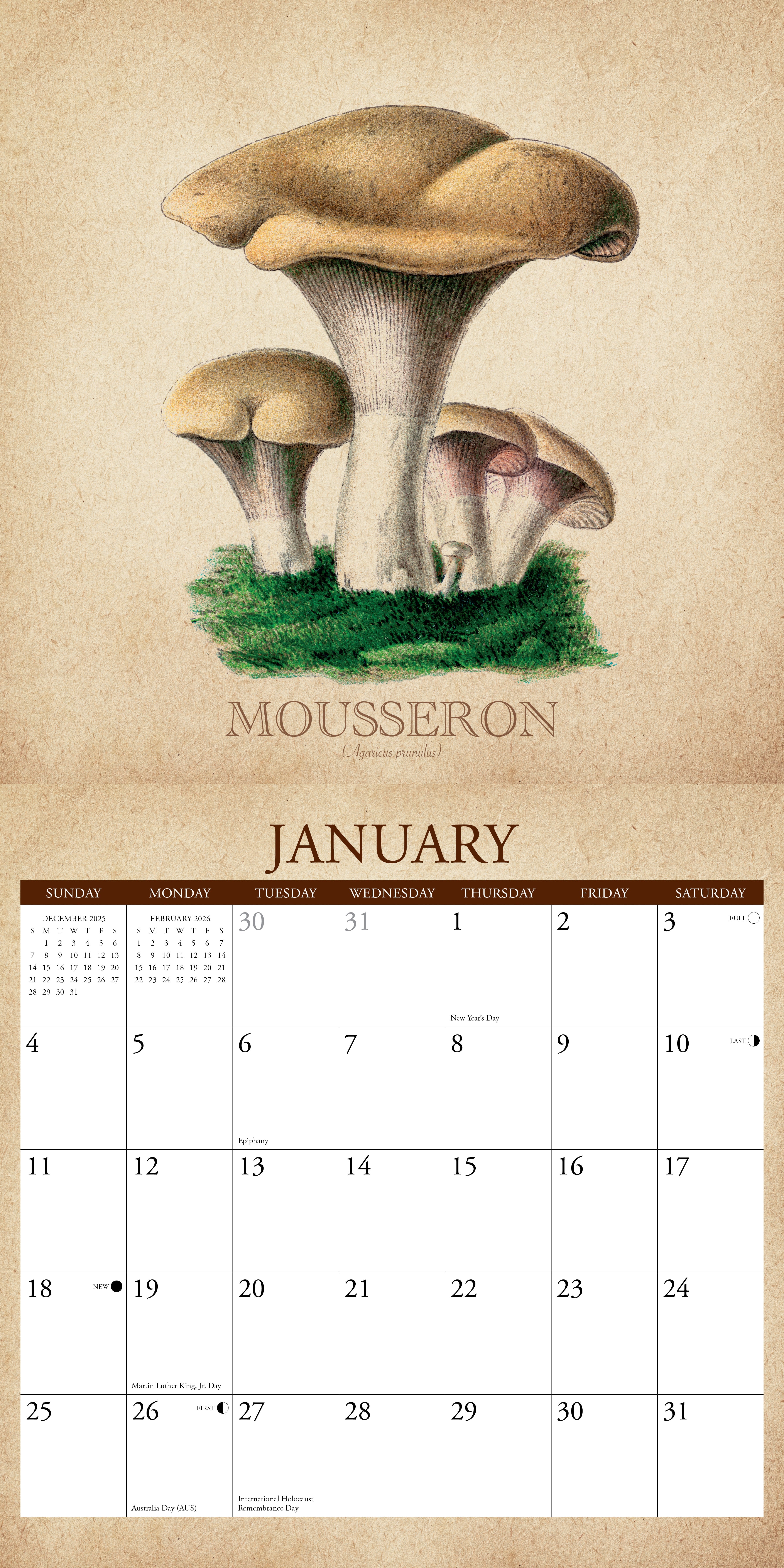2026 Art of the Mushroom - Square Wall Calendar