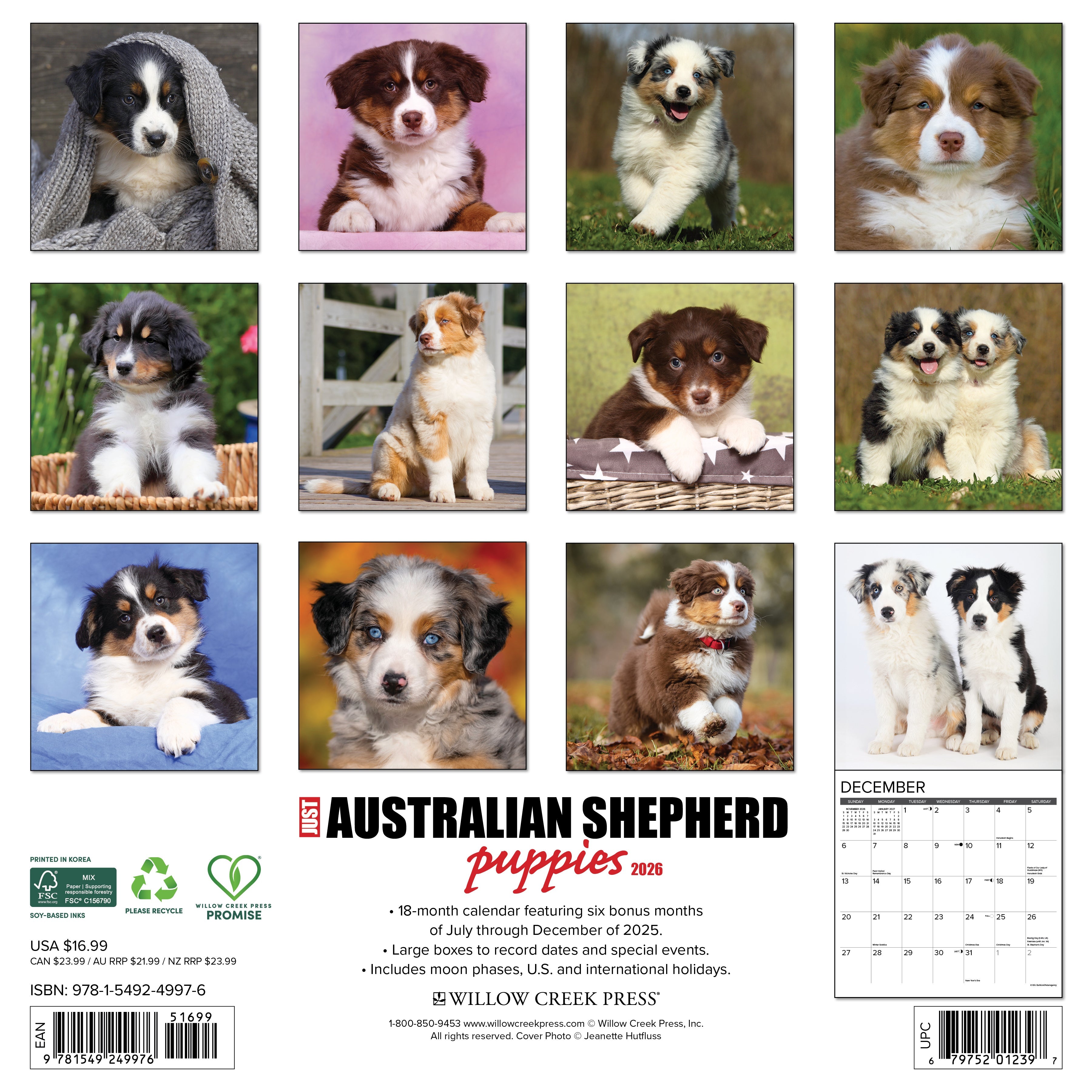 2026 Australian Shepherd Puppies - Square Wall Calendar