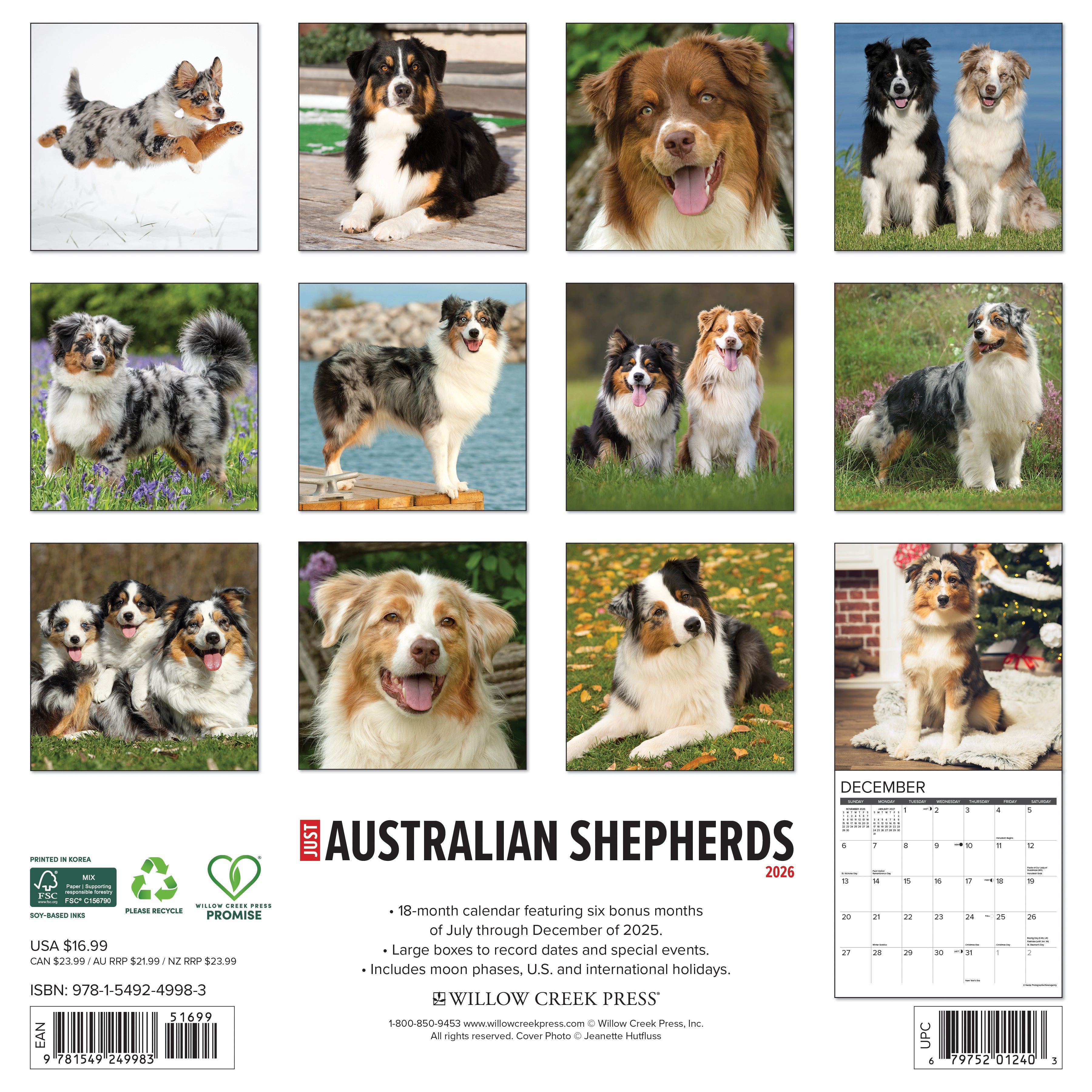 2026 Australian Shepherds - Square Wall Calendar