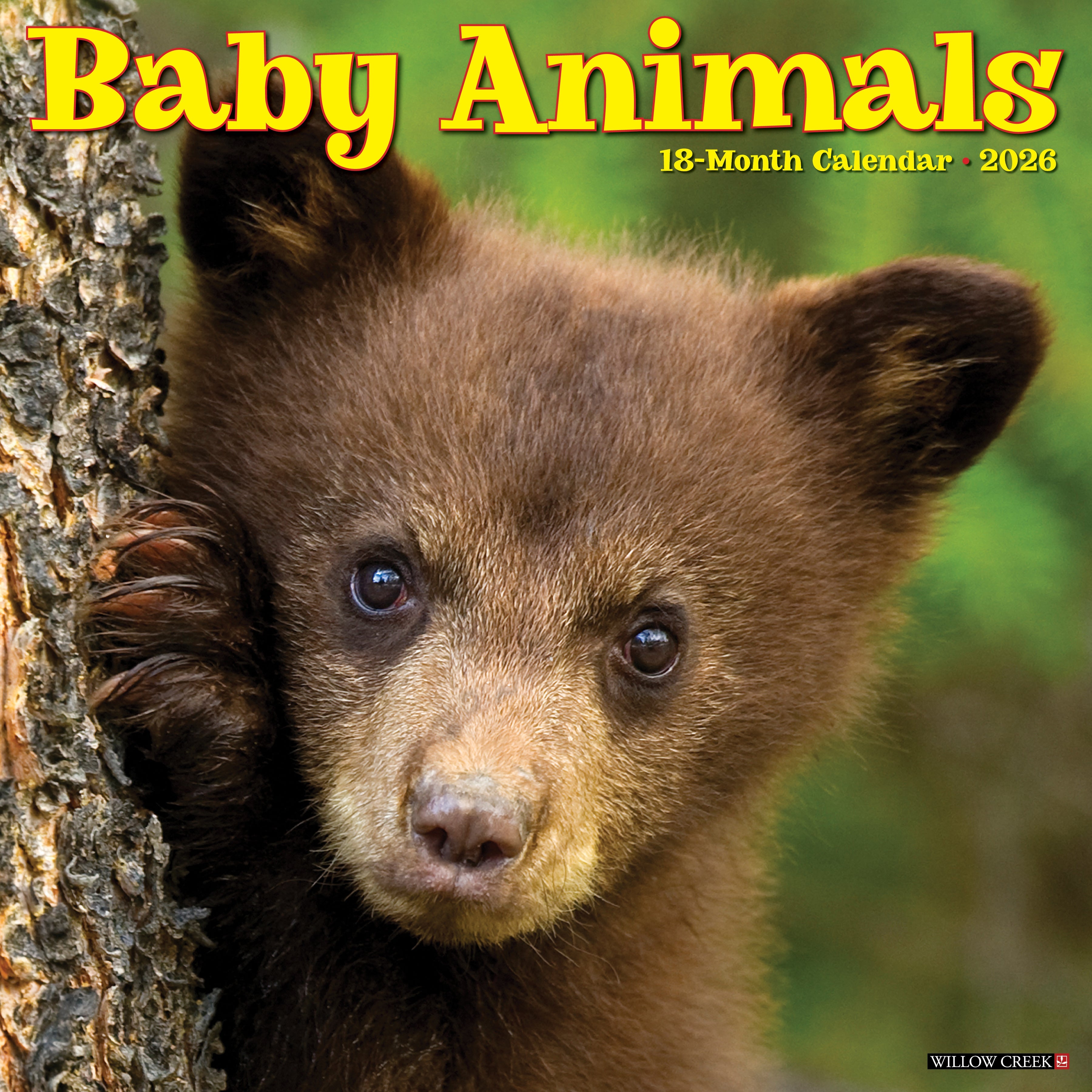 2026 Baby Animals - Square Wall Calendar