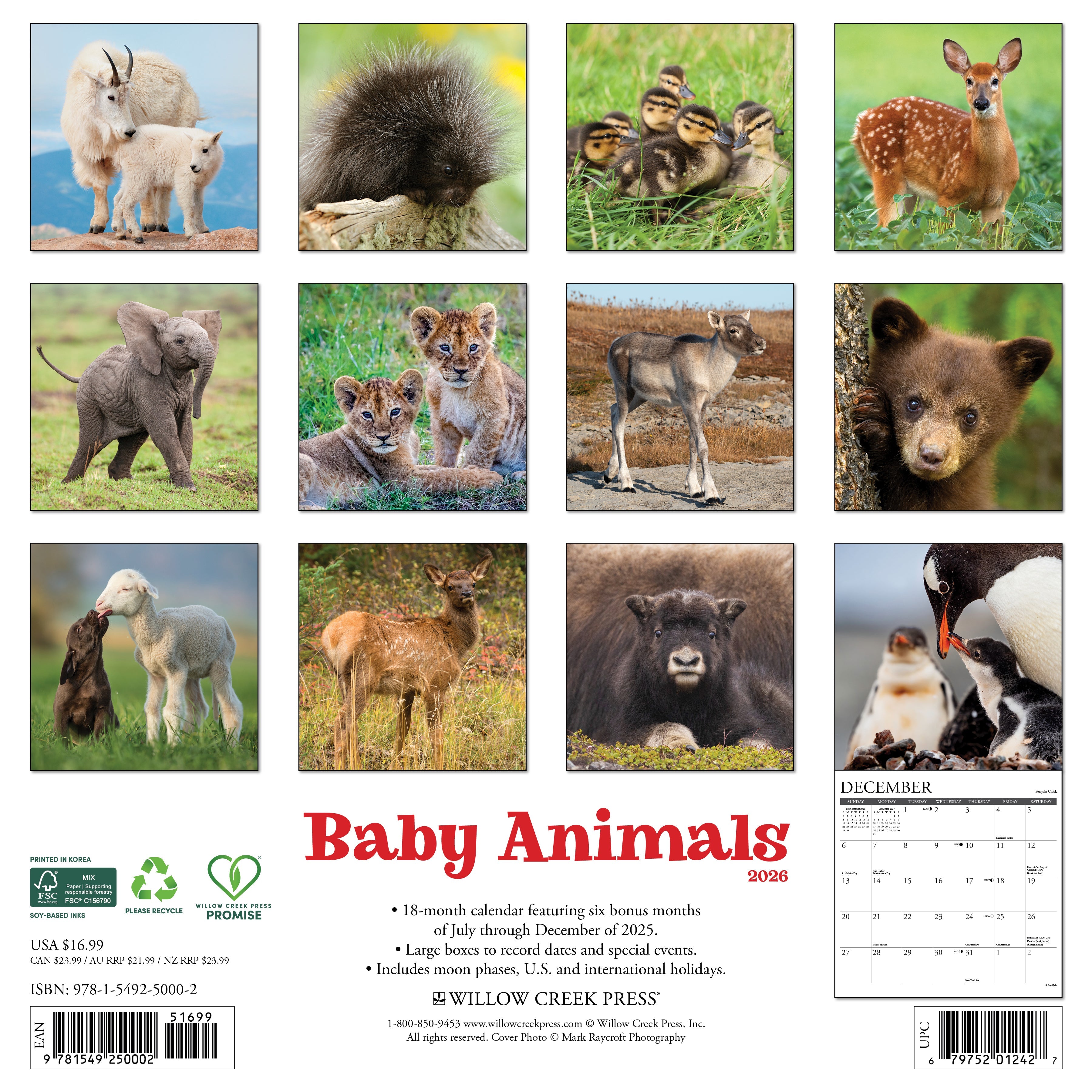 2026 Baby Animals - Square Wall Calendar