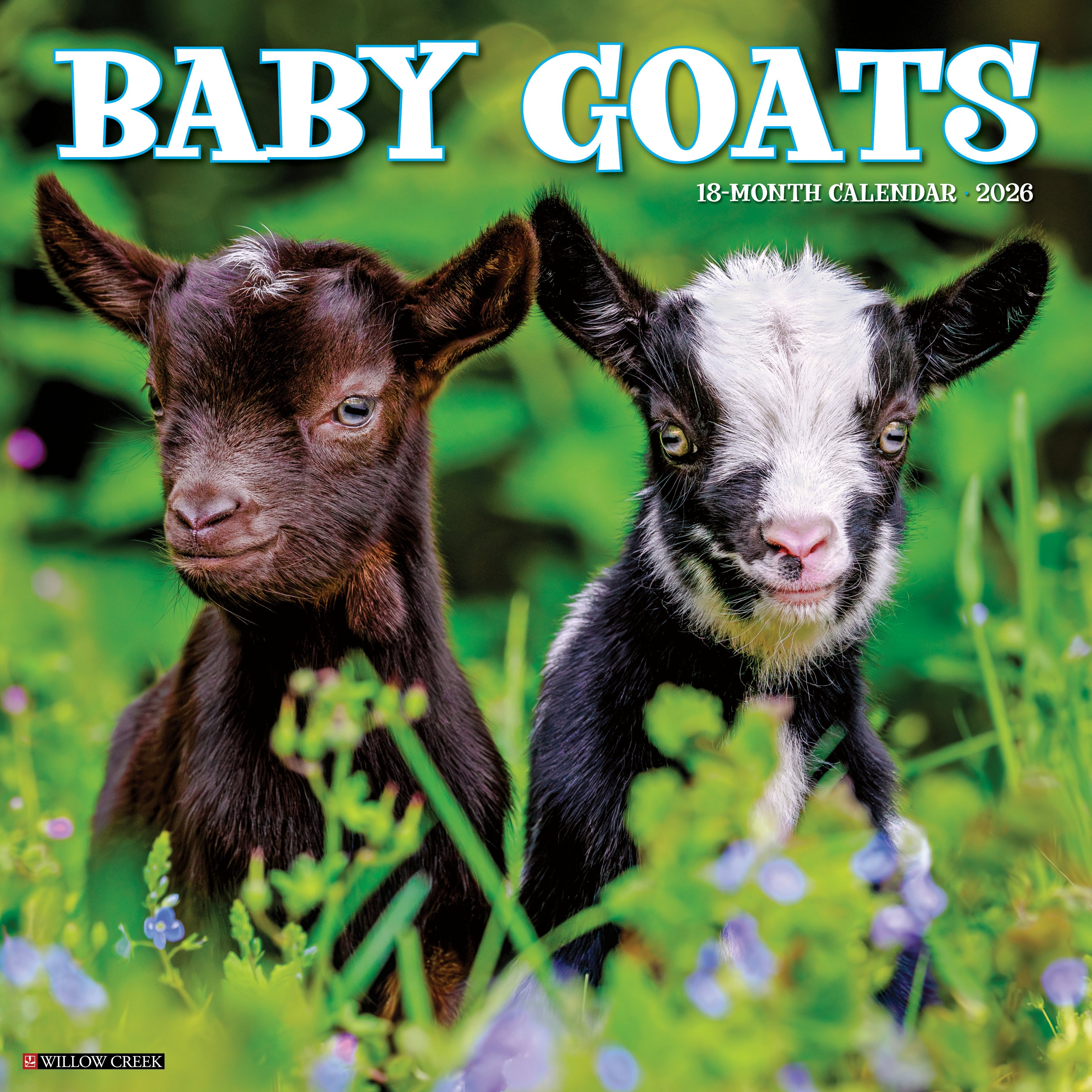 2026 Baby Goats - Square Wall Calendar