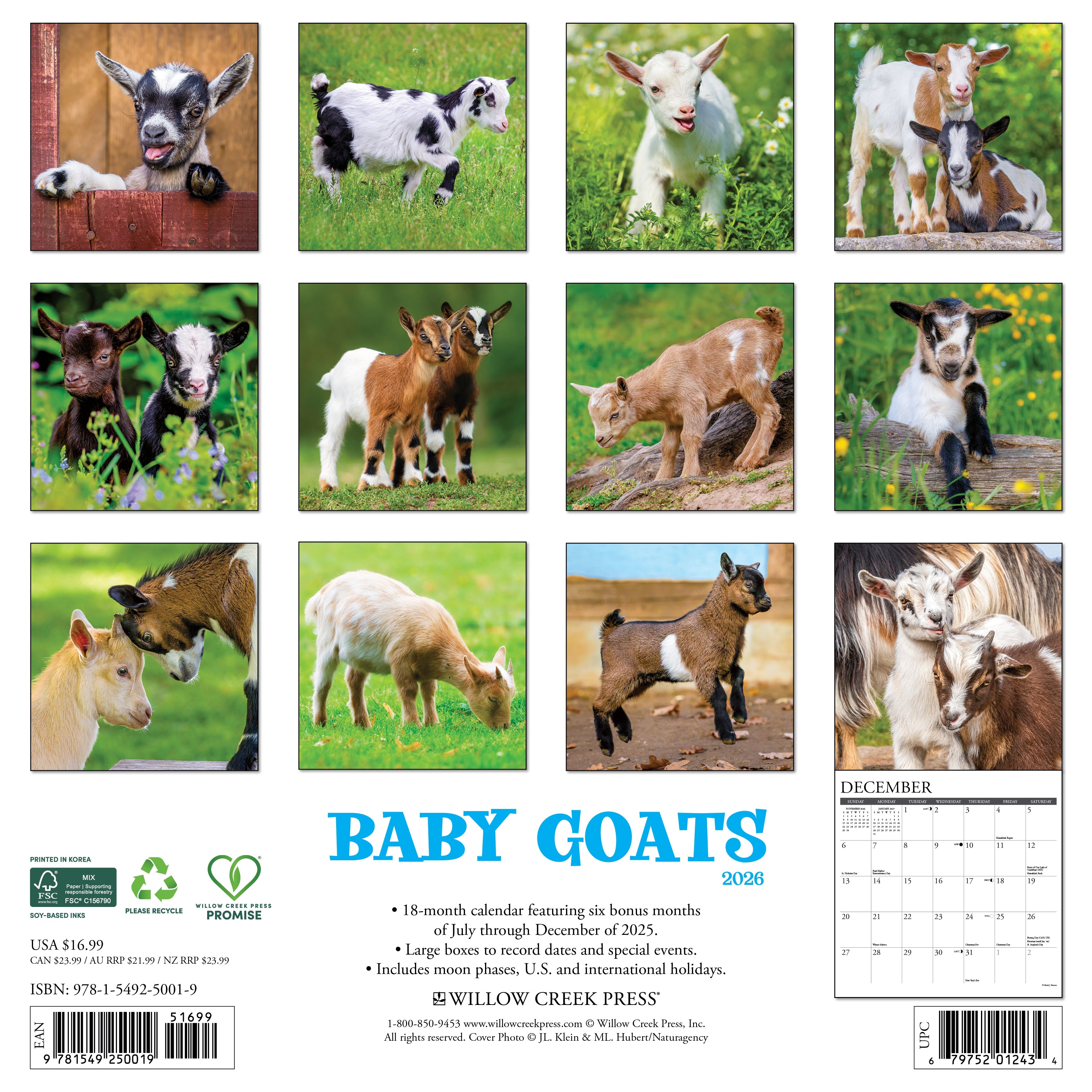 2026 Baby Goats - Square Wall Calendar