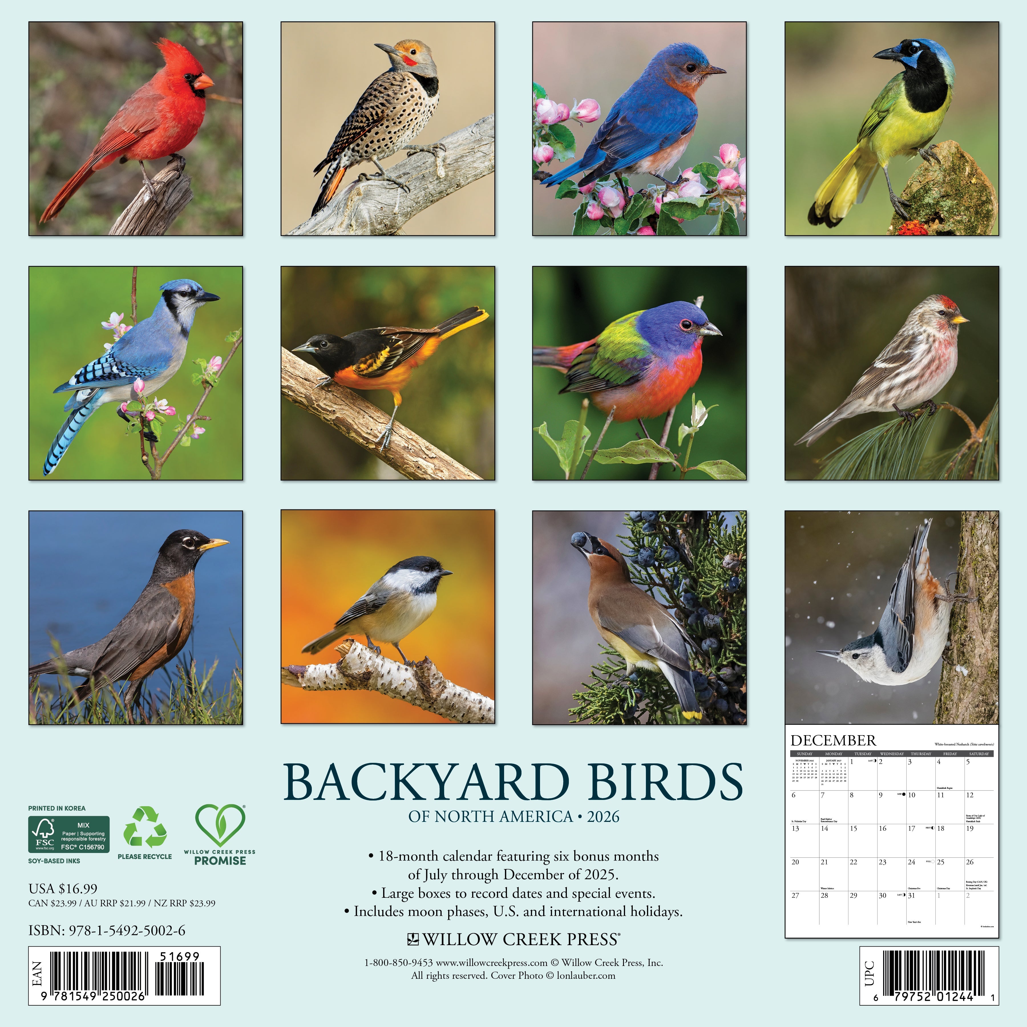 2026 Backyard Birds - Square Wall Calendar
