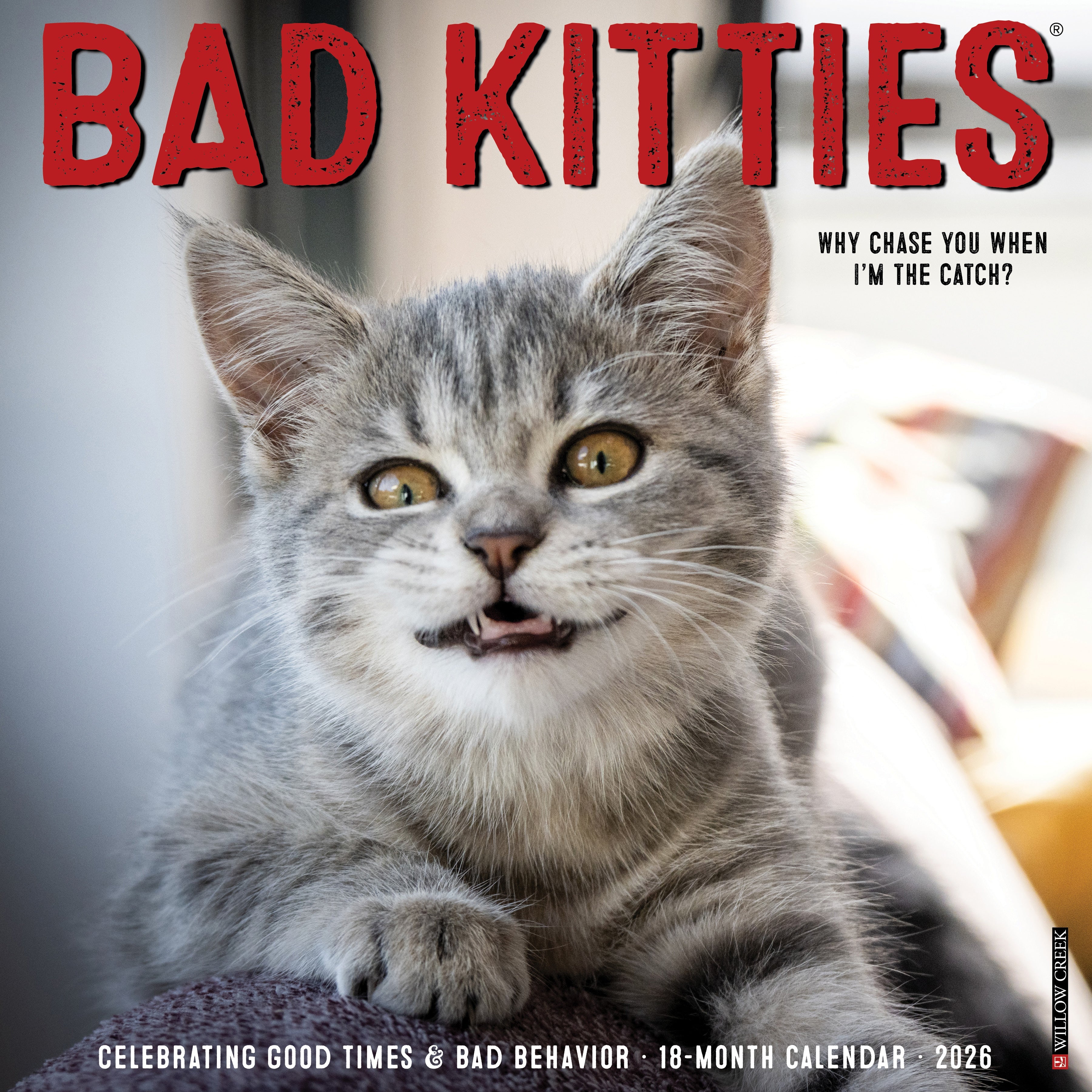 2026 Bad Kitties - Square Wall Calendar