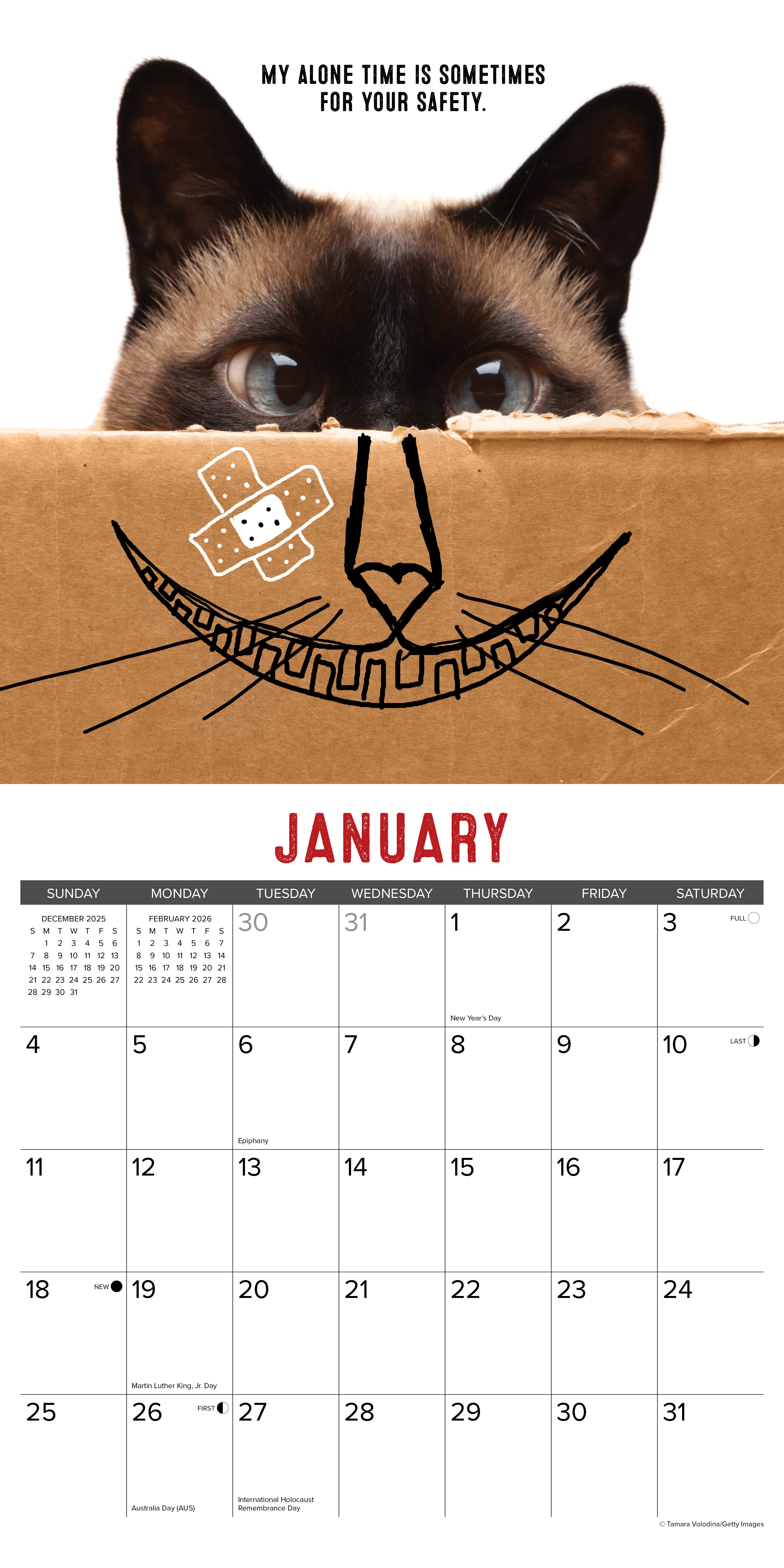 2026 Bad Kitties - Square Wall Calendar