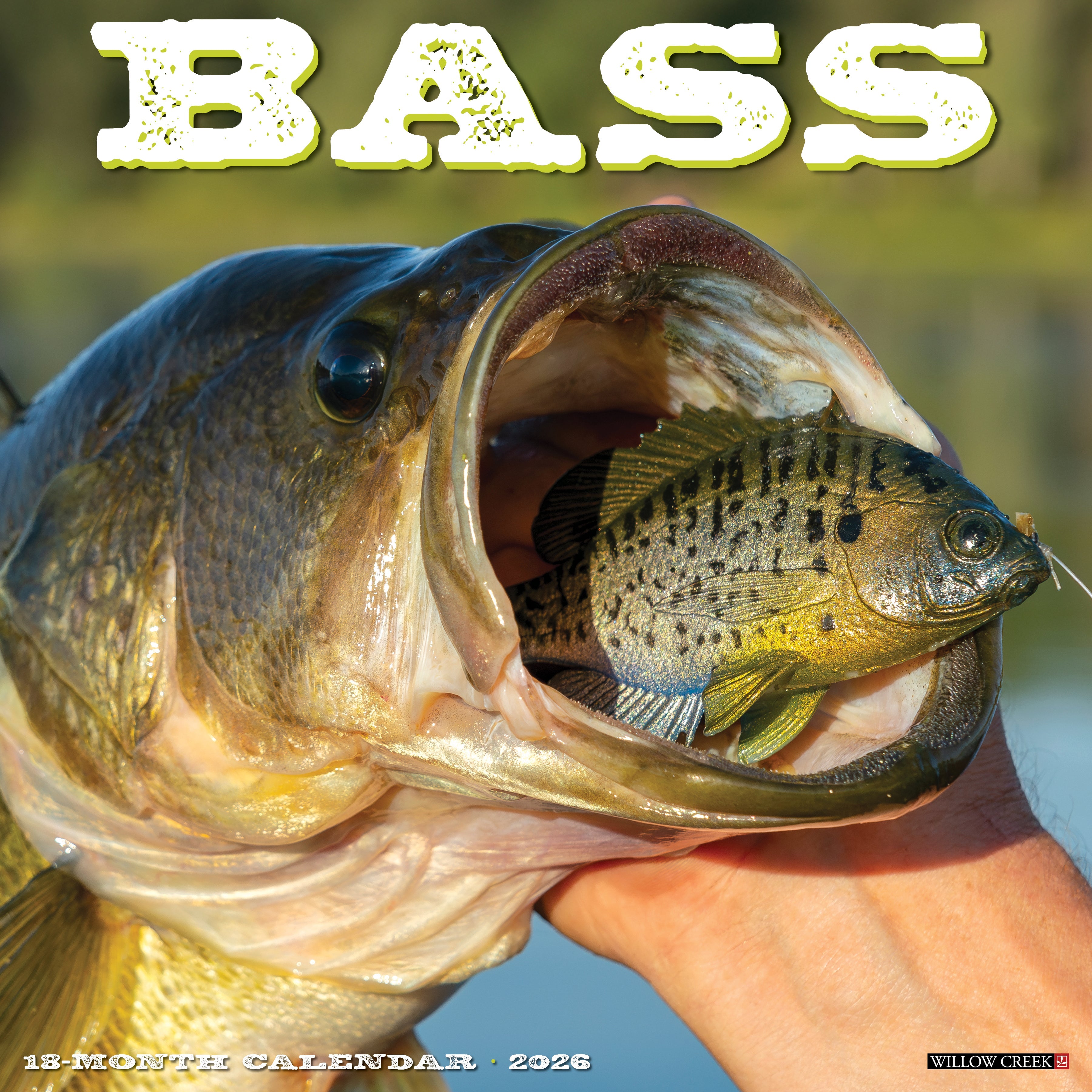 2026 Bass - Square Wall Calendar