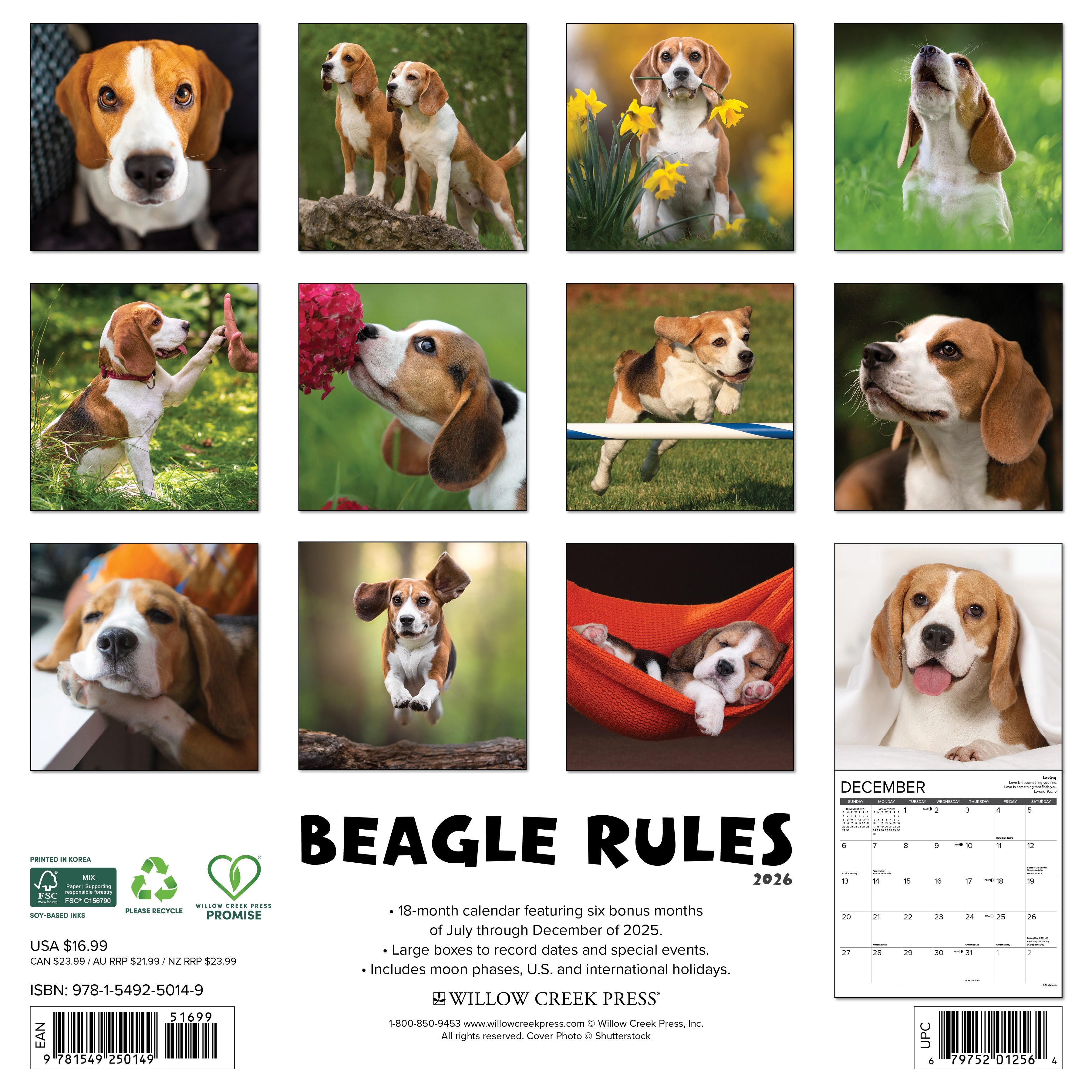 2026 Beagle Rules - Square Wall Calendar