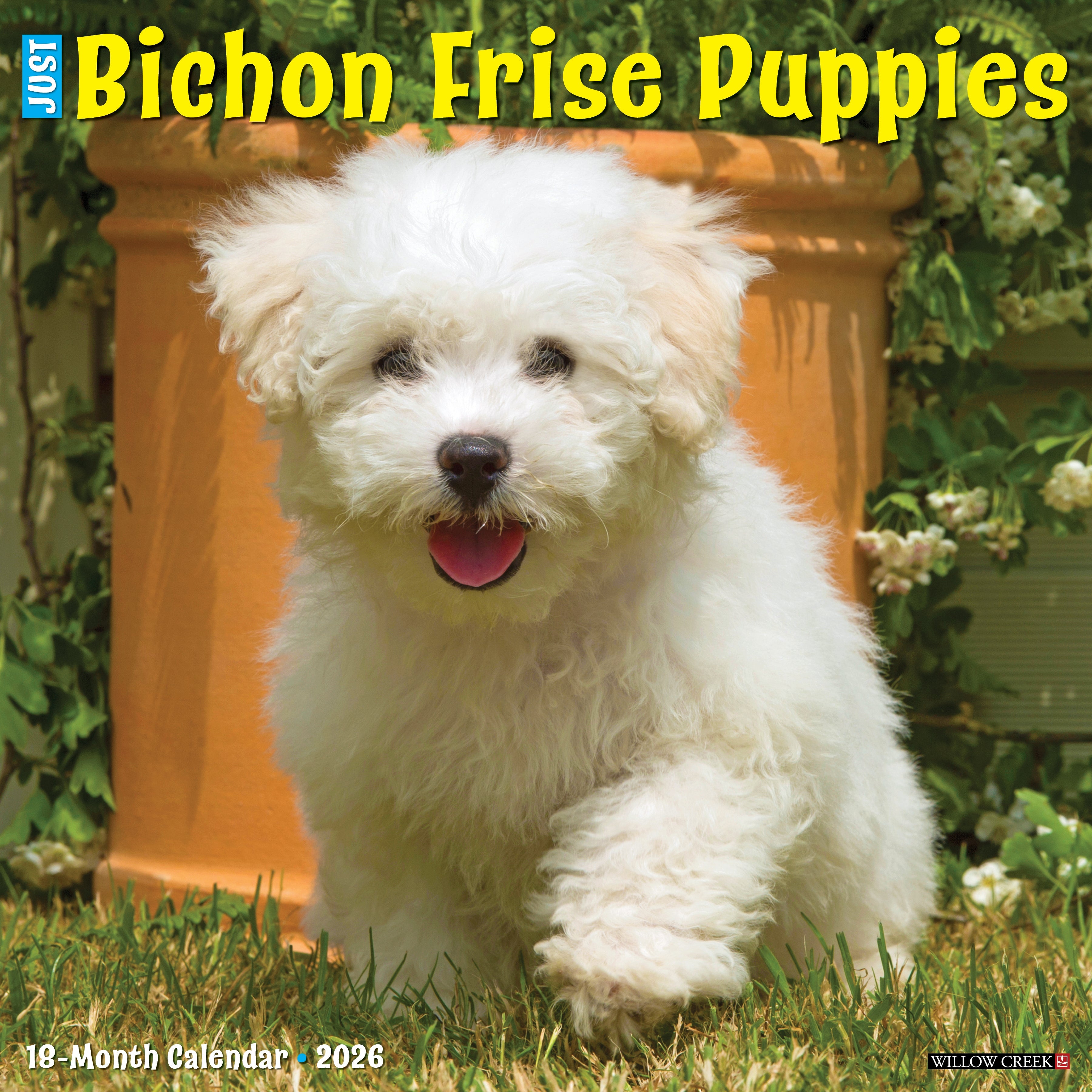 2026 Bichon Frise Puppies - Square Wall Calendar