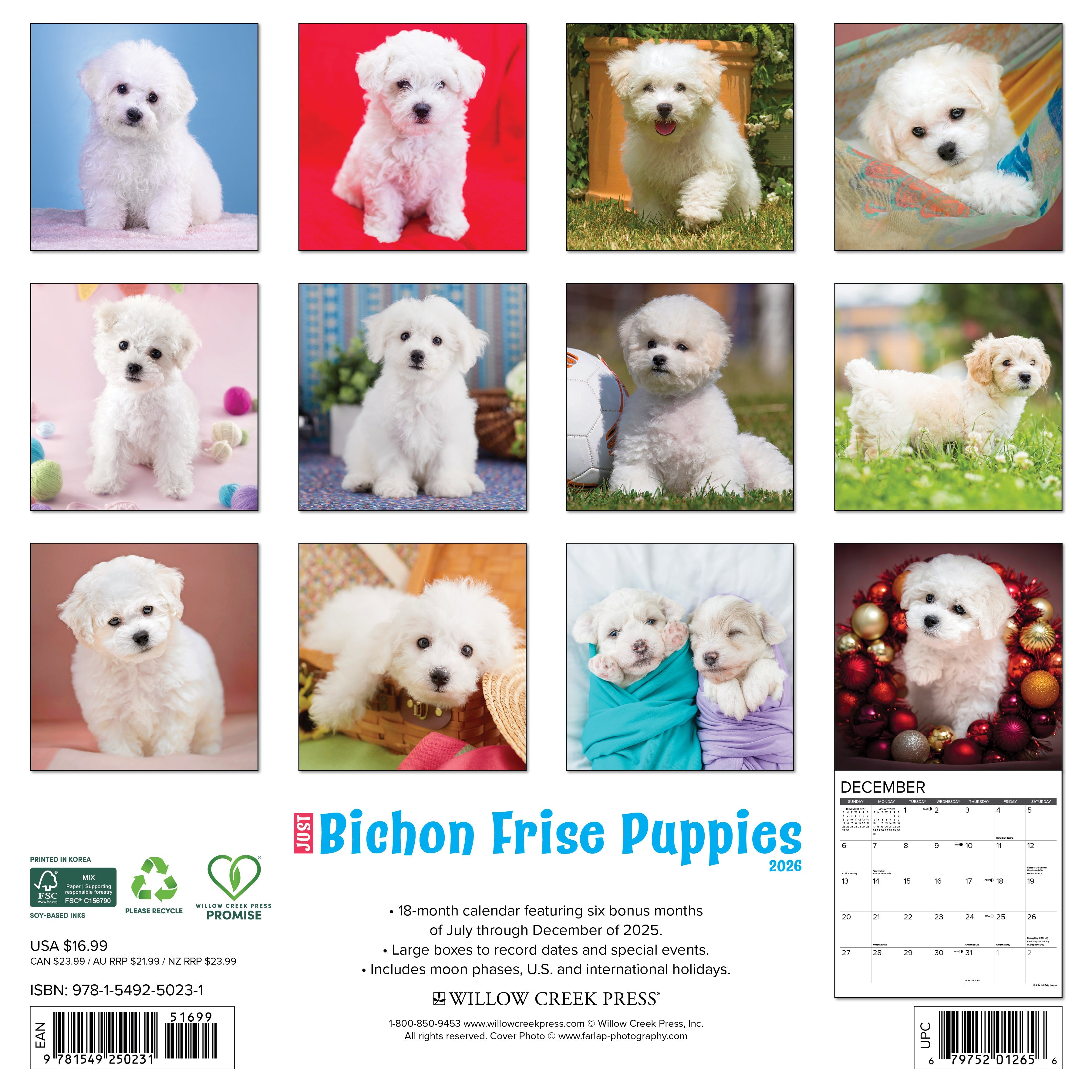 2026 Bichon Frise Puppies - Square Wall Calendar