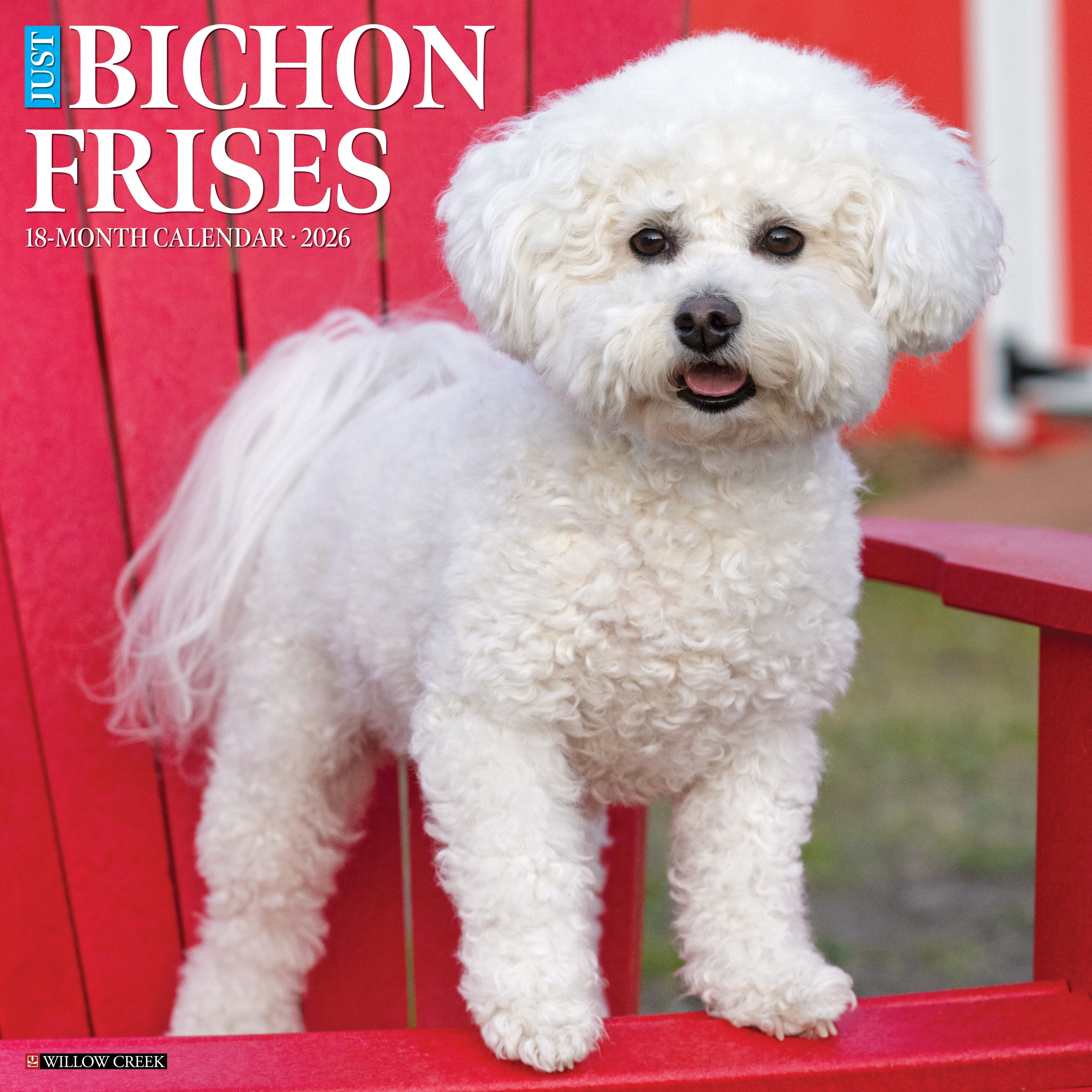 2026 Bichon Frises - Square Wall Calendar