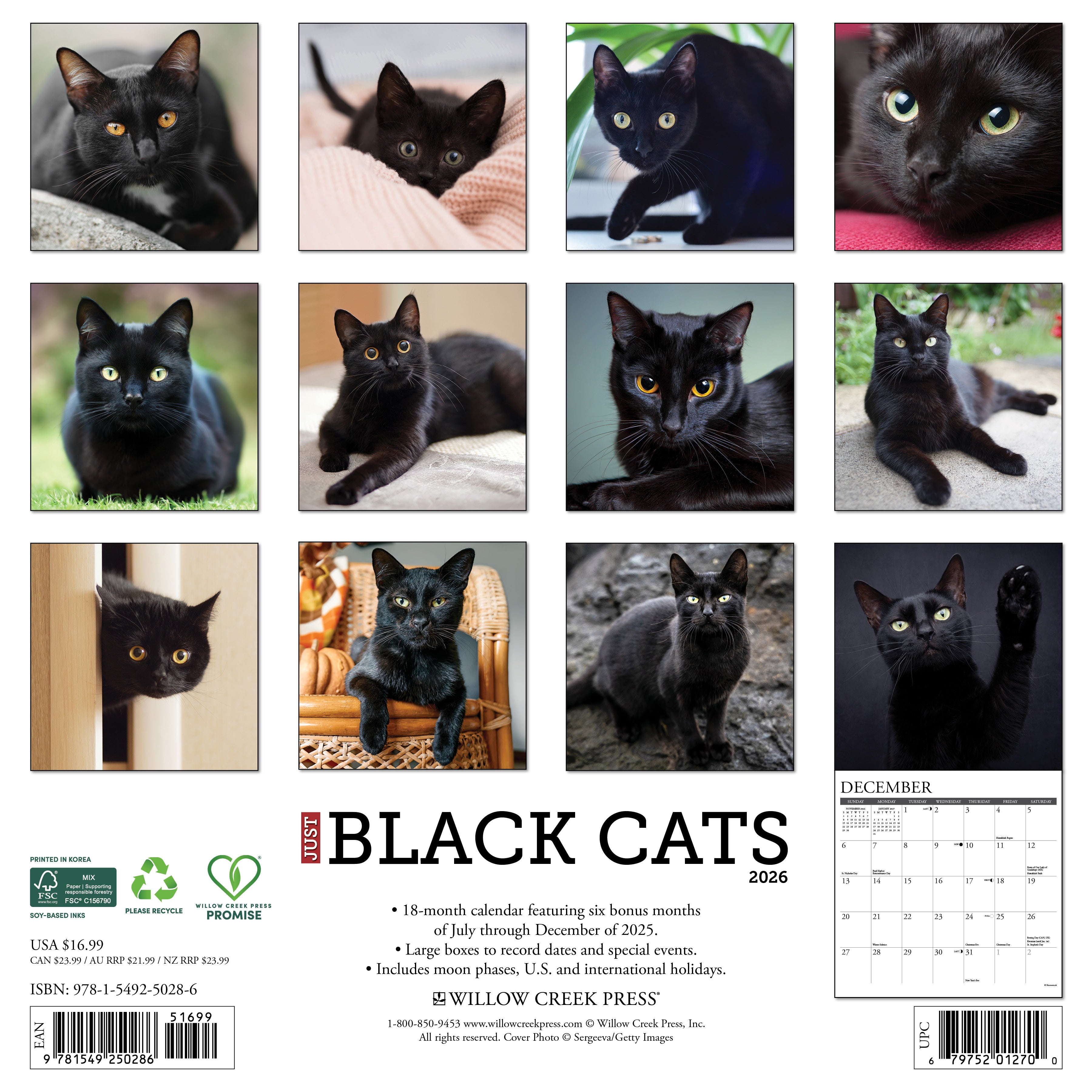 2026 Black Cats - Square Wall Calendar