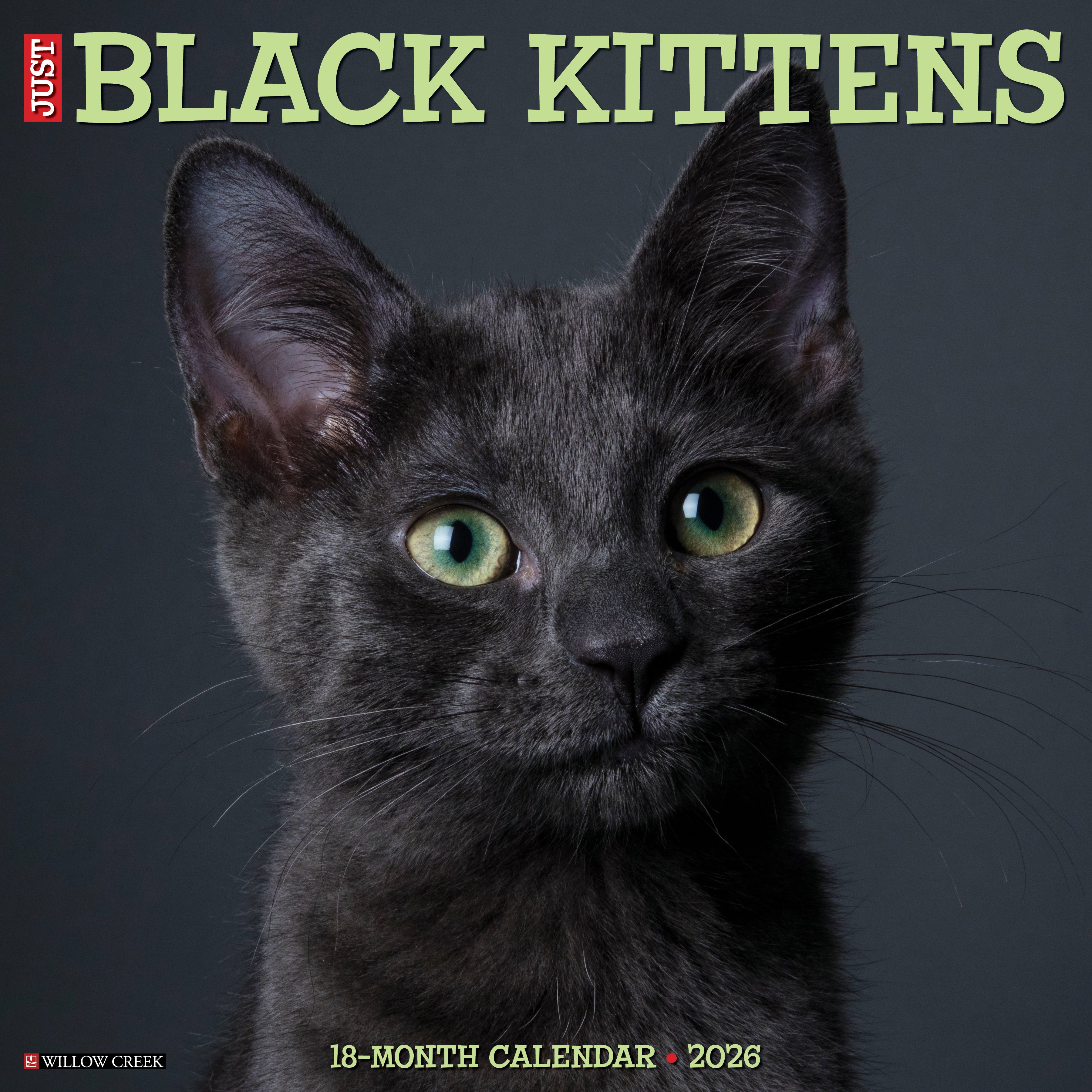 2026 Black Kittens - Square Wall Calendar