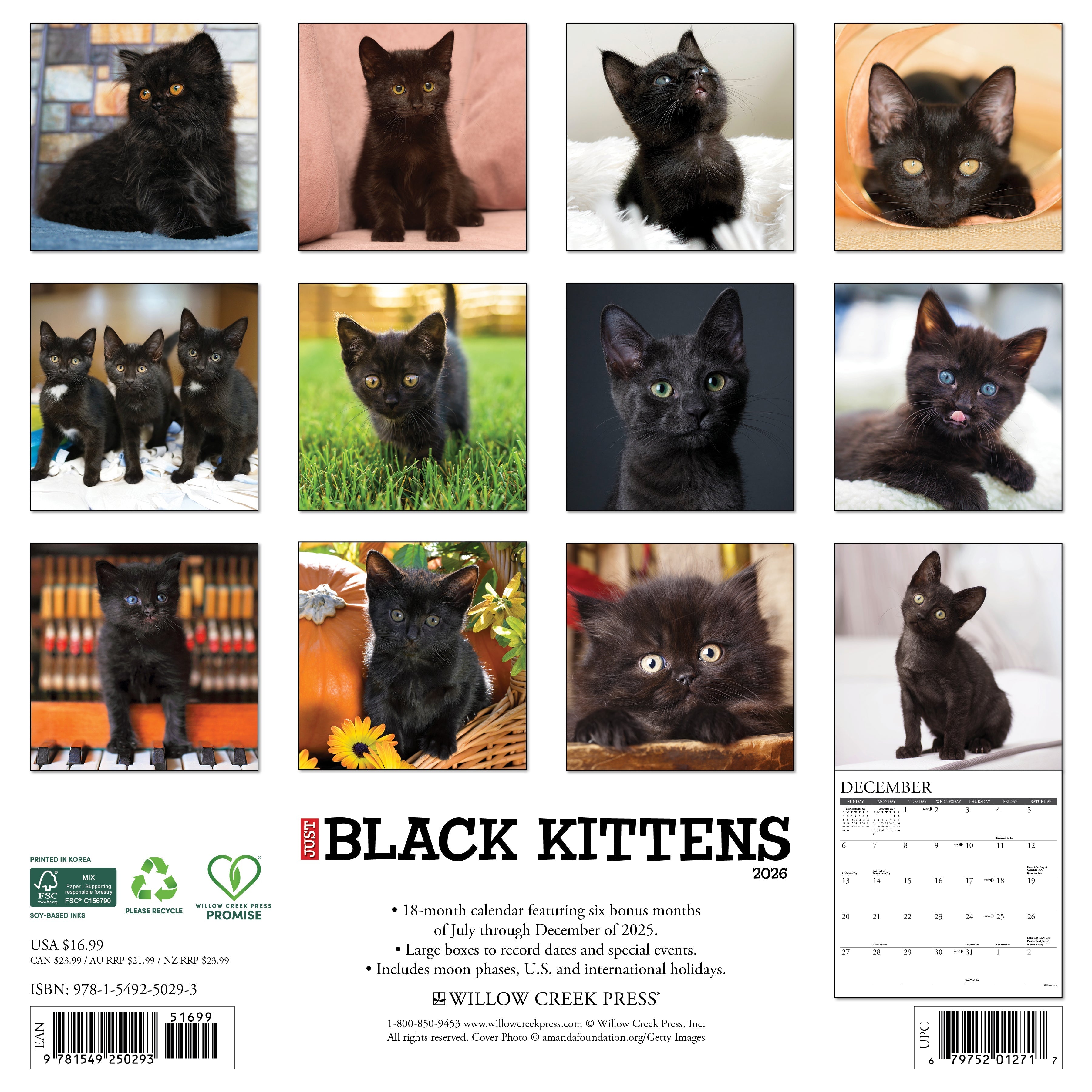 2026 Black Kittens - Square Wall Calendar