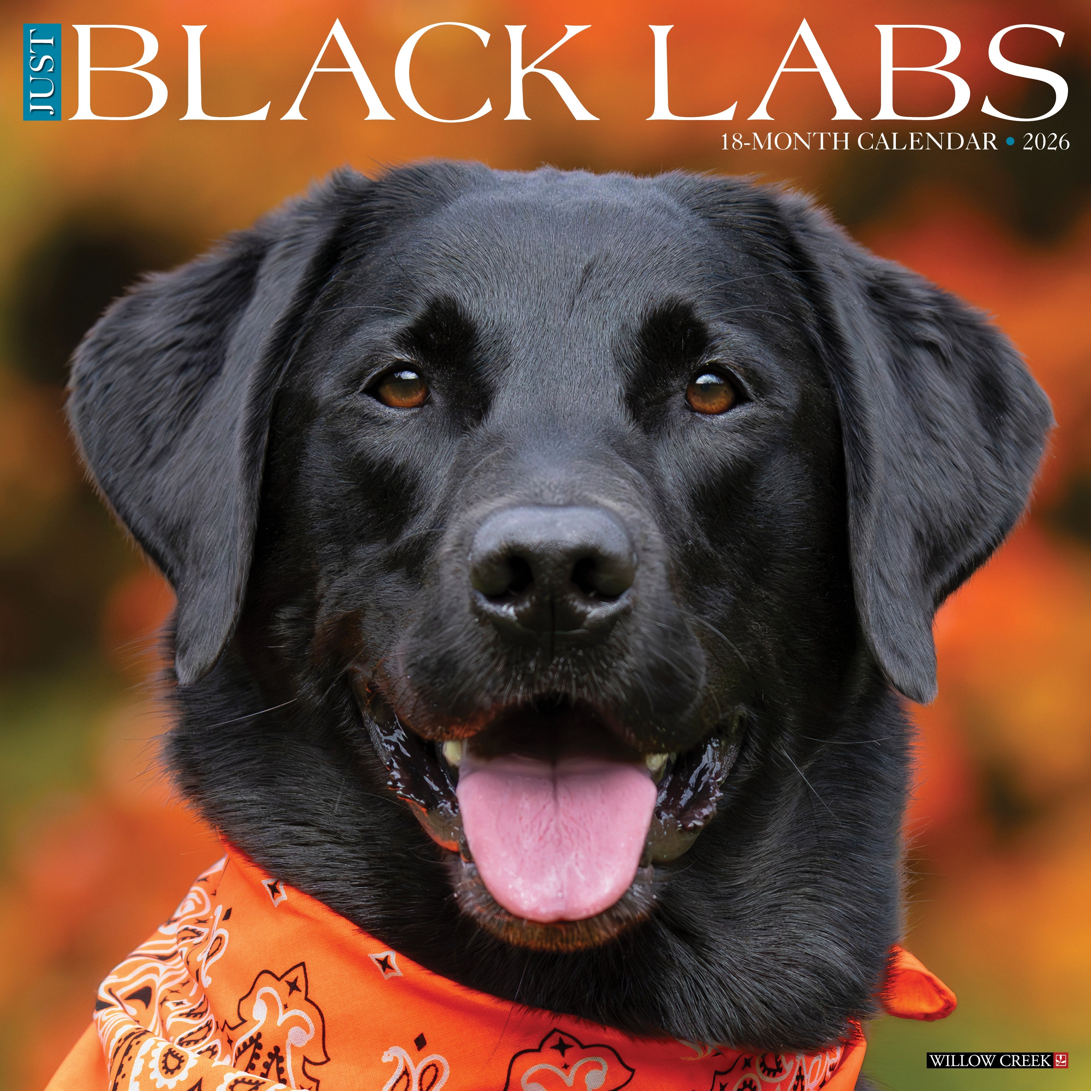 2026 Black Labs - Square Wall Calendar