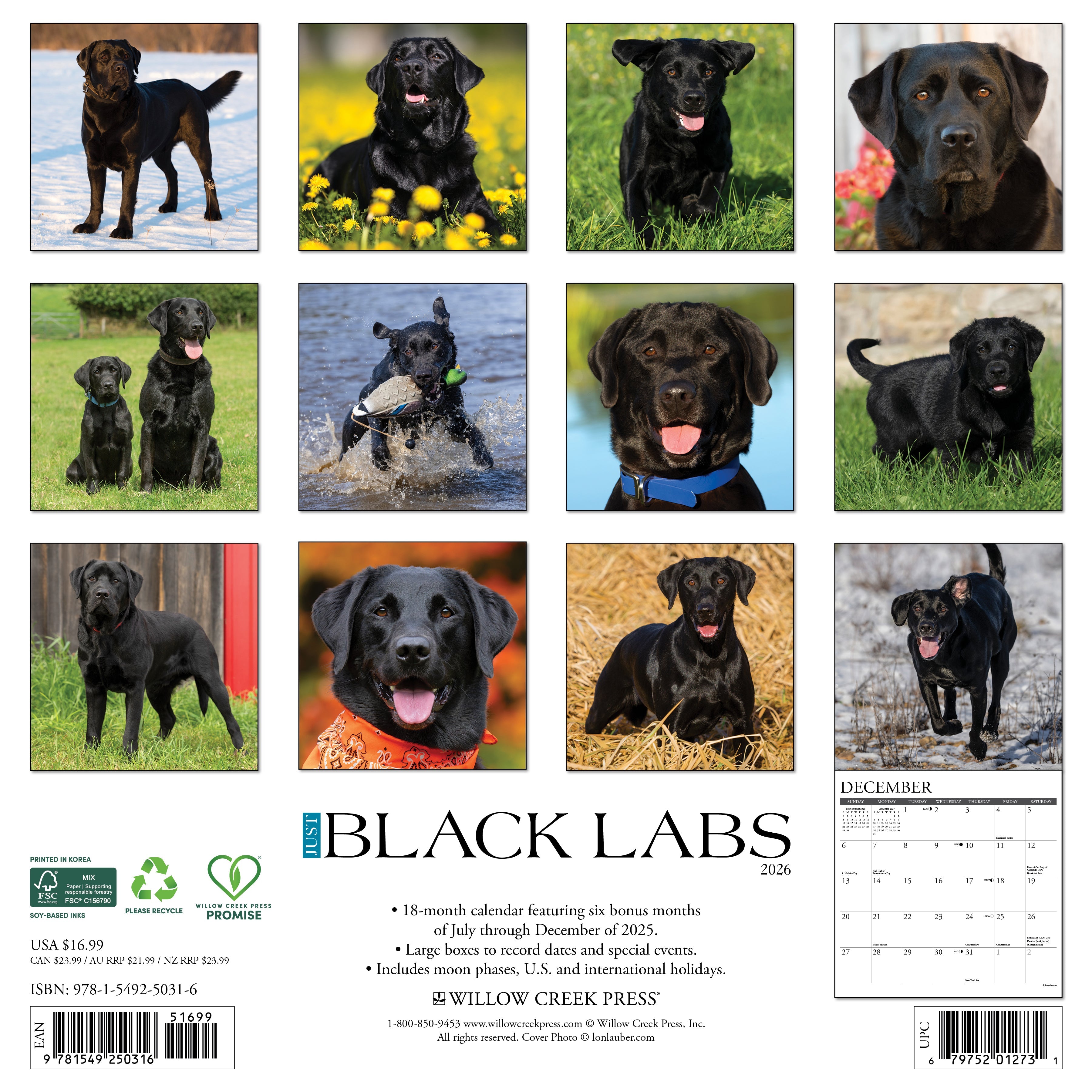 2026 Black Labs - Square Wall Calendar