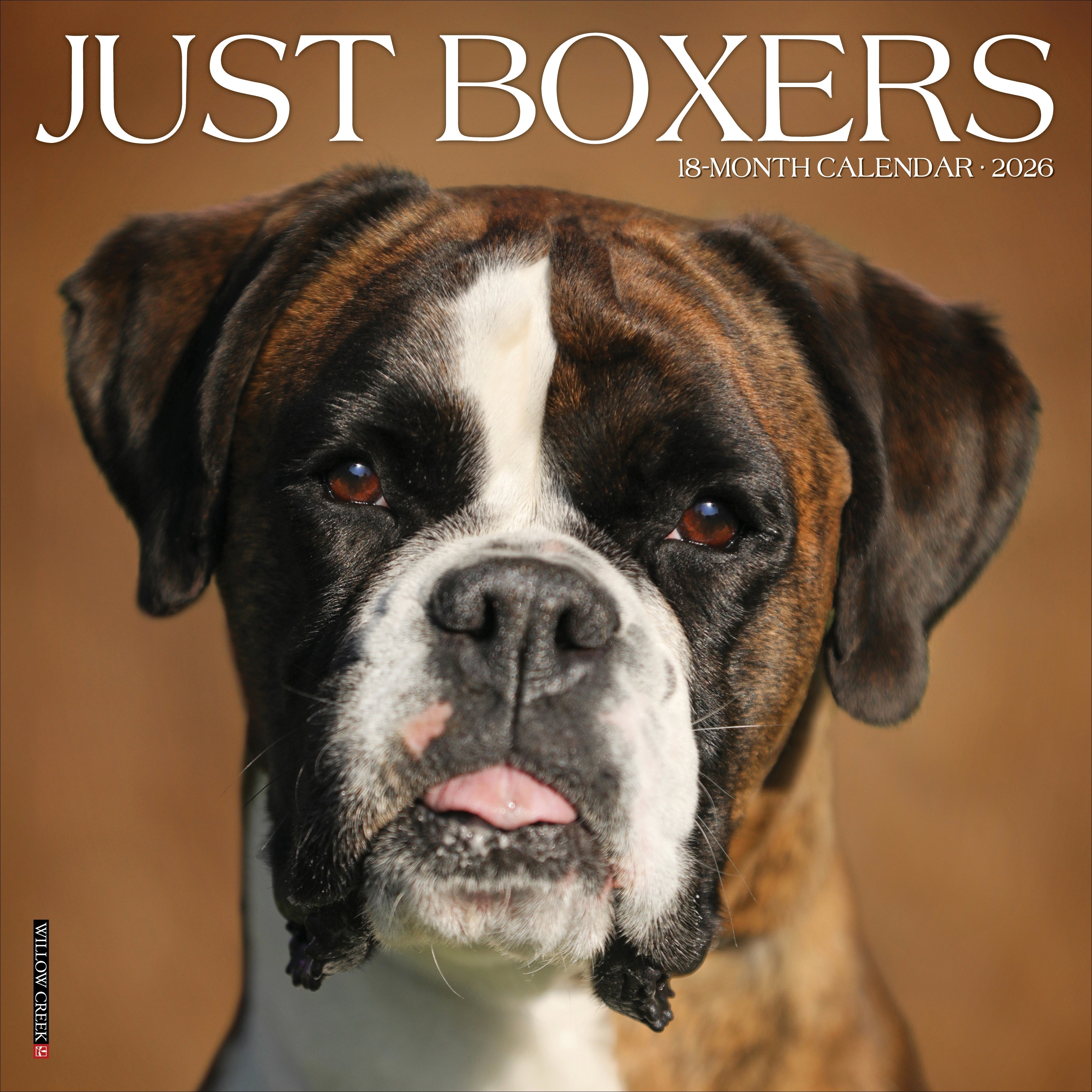 2026 Boxers - Square Wall Calendar