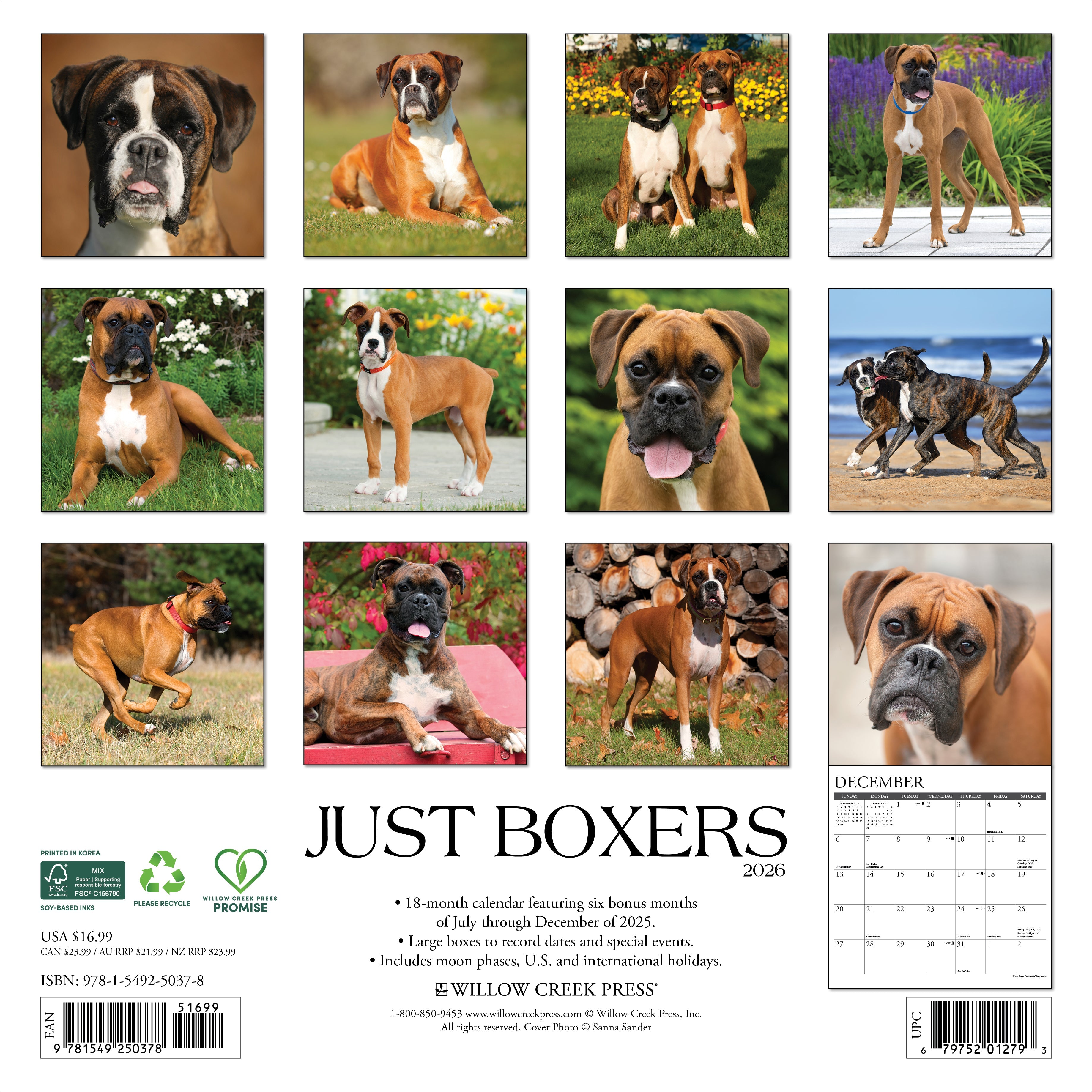 2026 Boxers - Square Wall Calendar