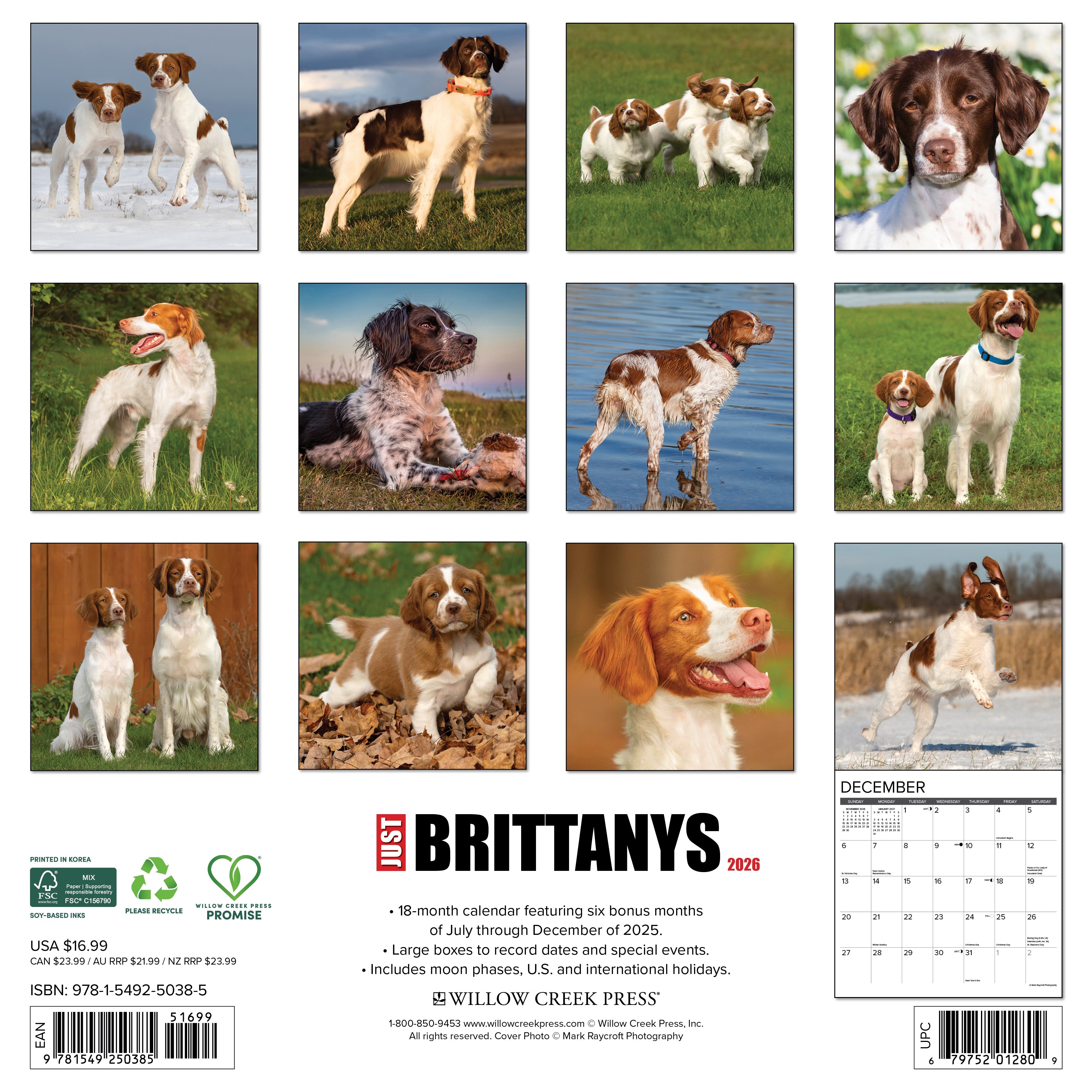 2026 Brittanys - Square Wall Calendar