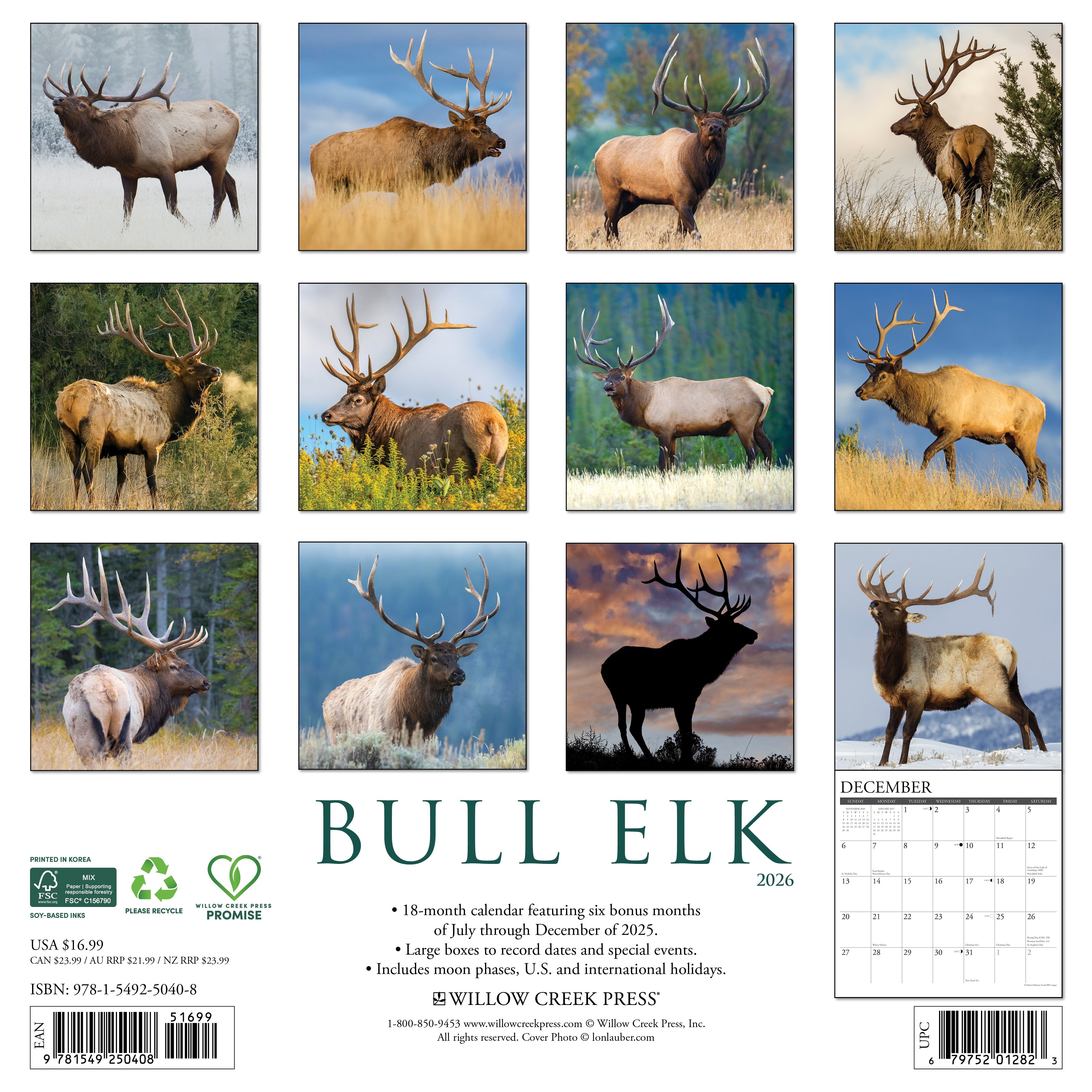 2026 Bull Elk - Square Wall Calendar