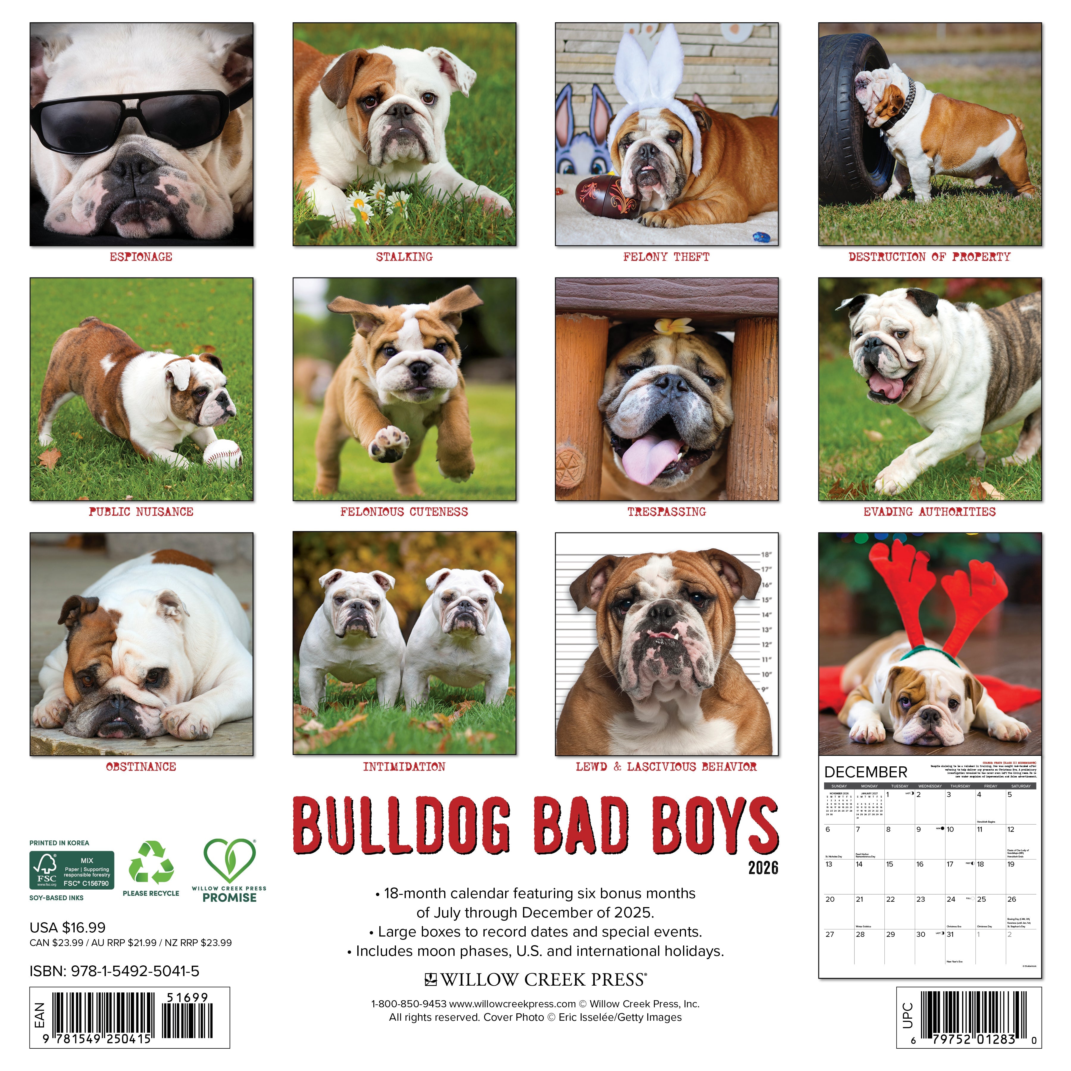2026 Bulldog Bad Boys - Square Wall Calendar