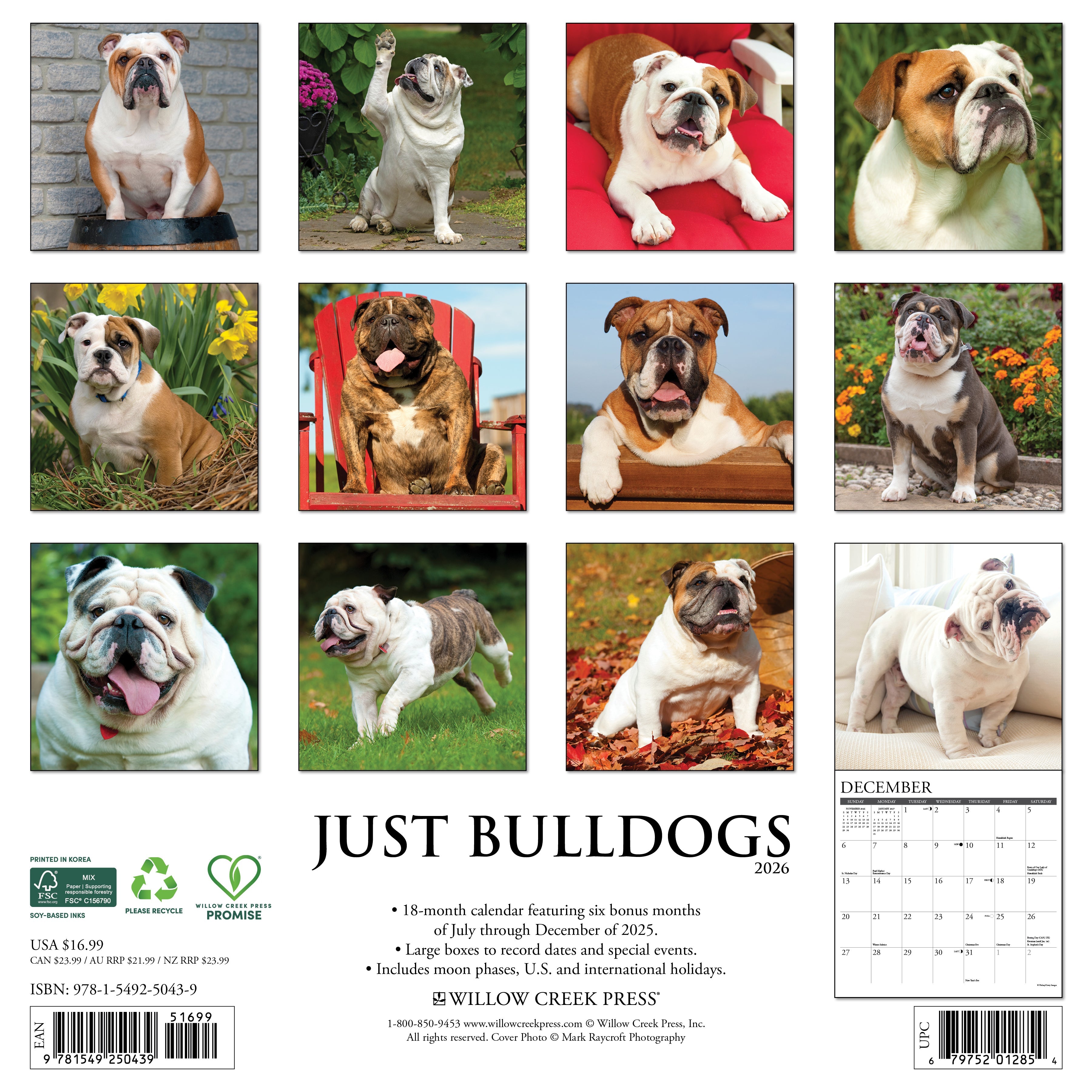 2026 Bulldogs - Square Wall Calendar