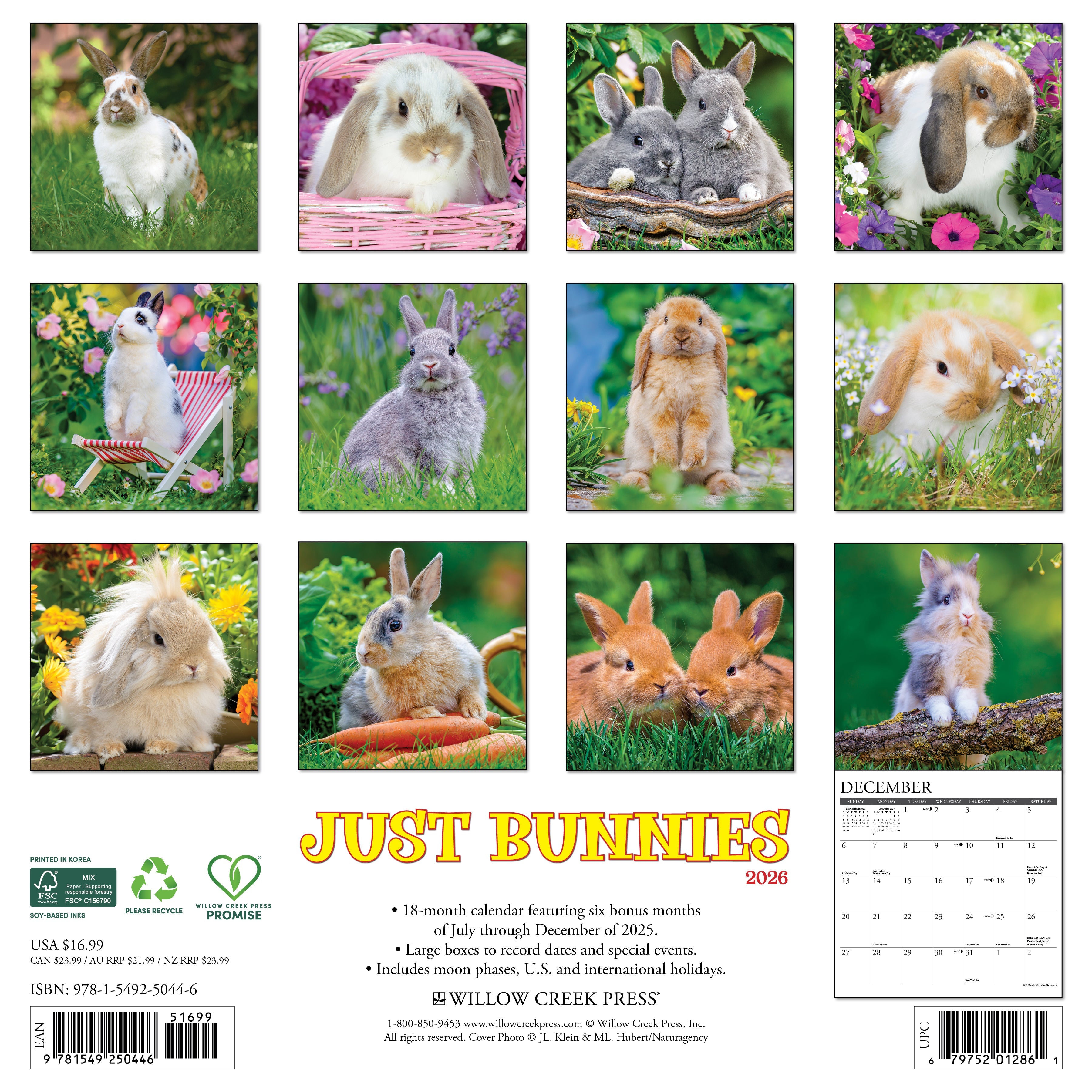 2026 Bunnies - Square Wall Calendar