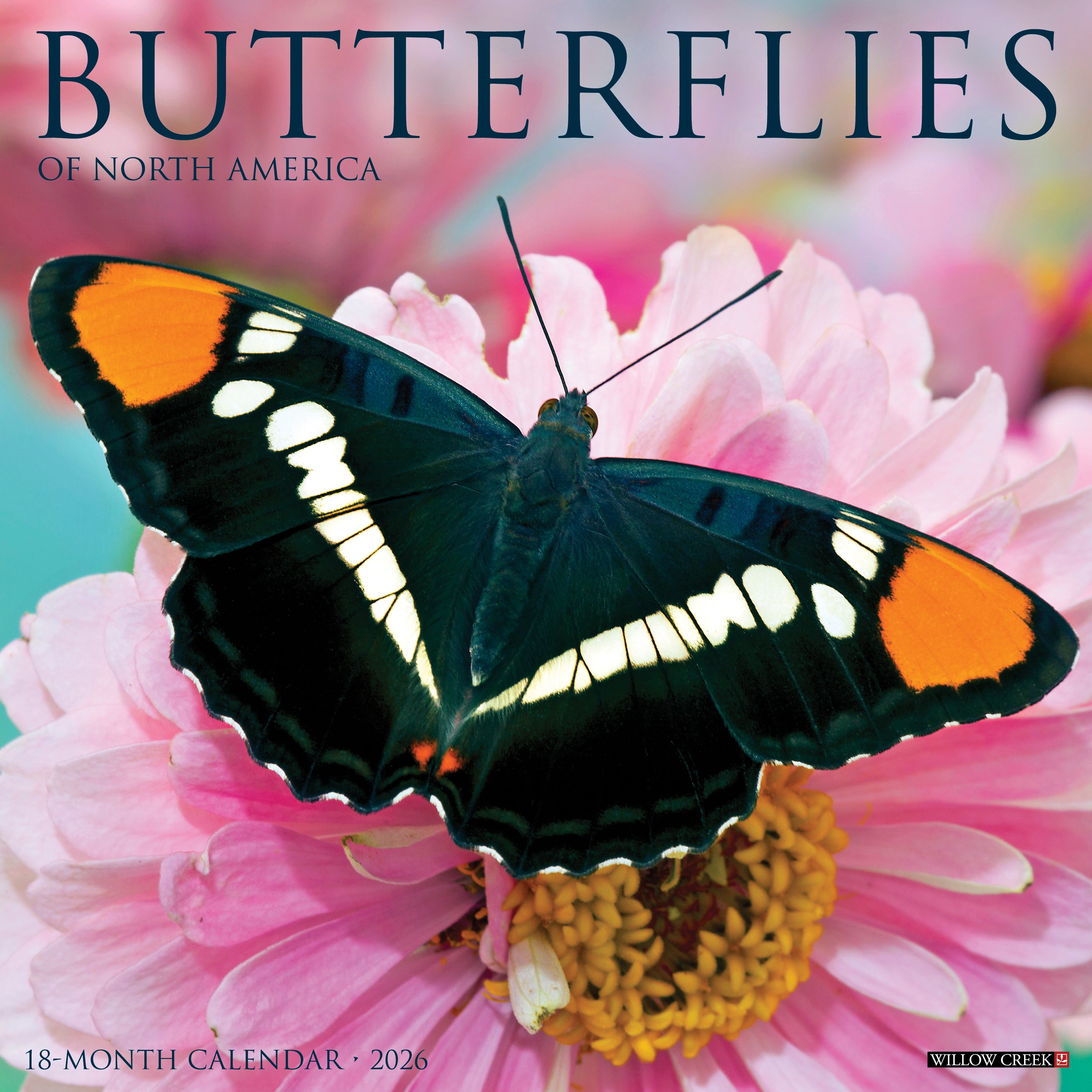 2026 Butterflies of North America - Square Wall Calendar