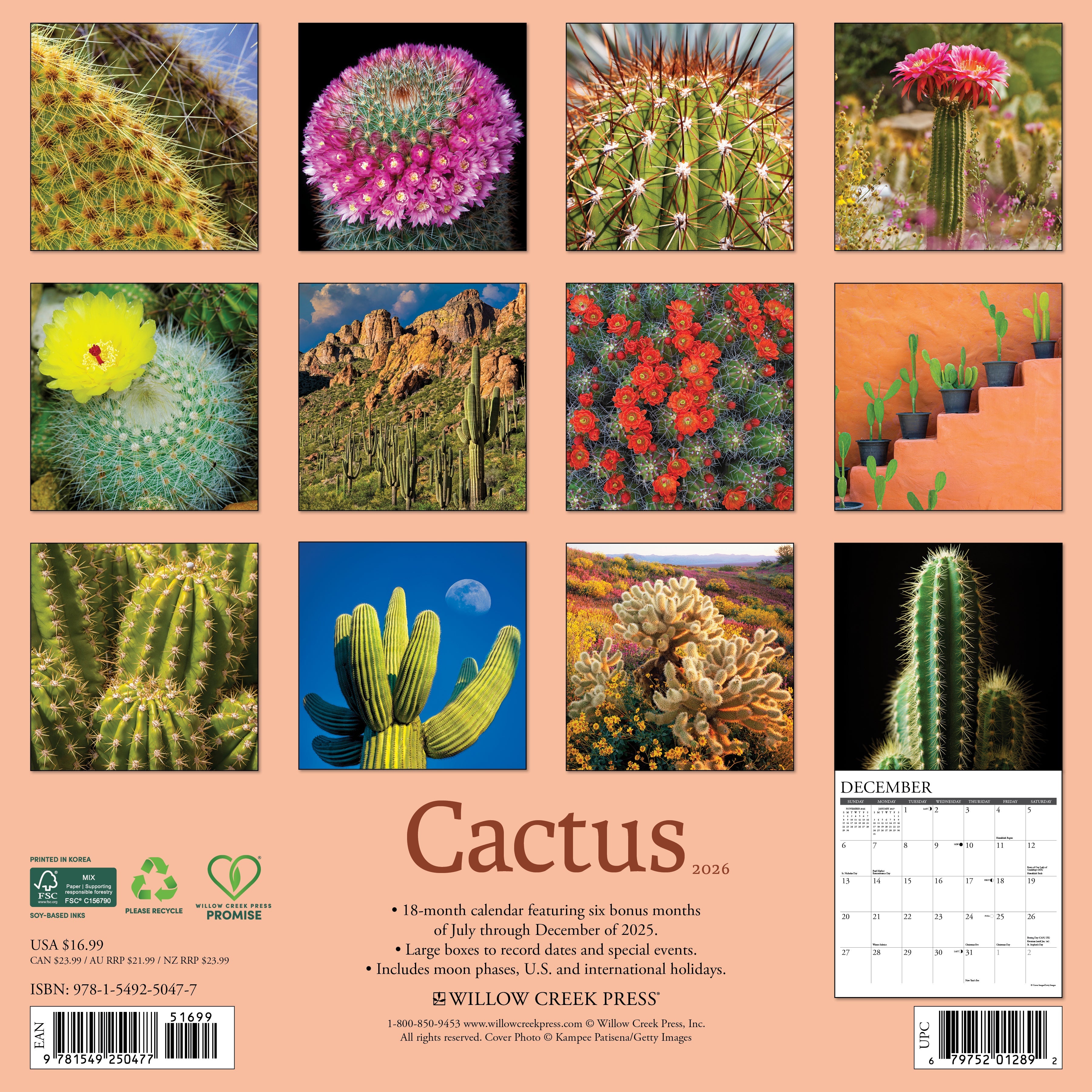 2026 Cactus - Square Wall Calendar