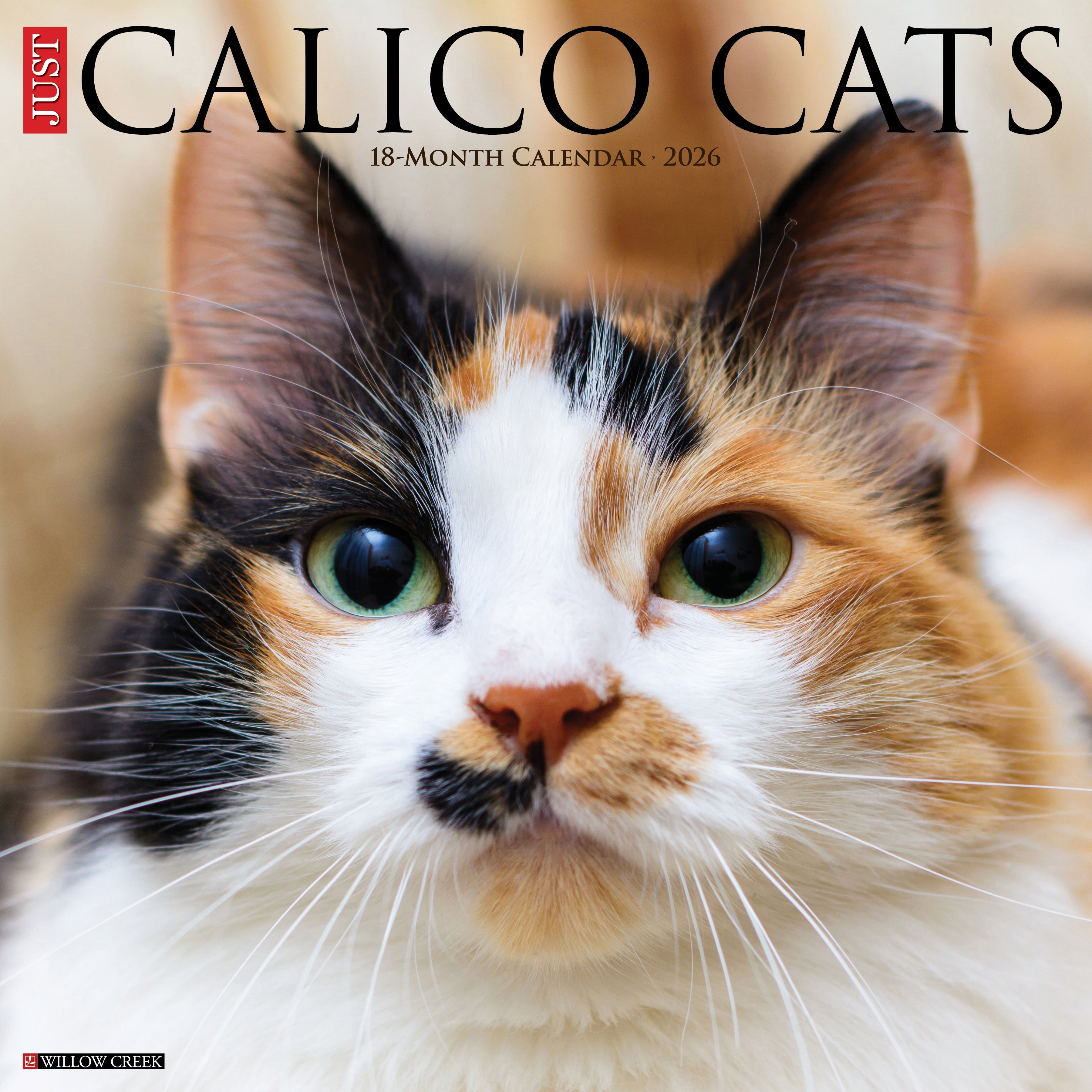 2026 Calico Cats - Square Wall Calendar