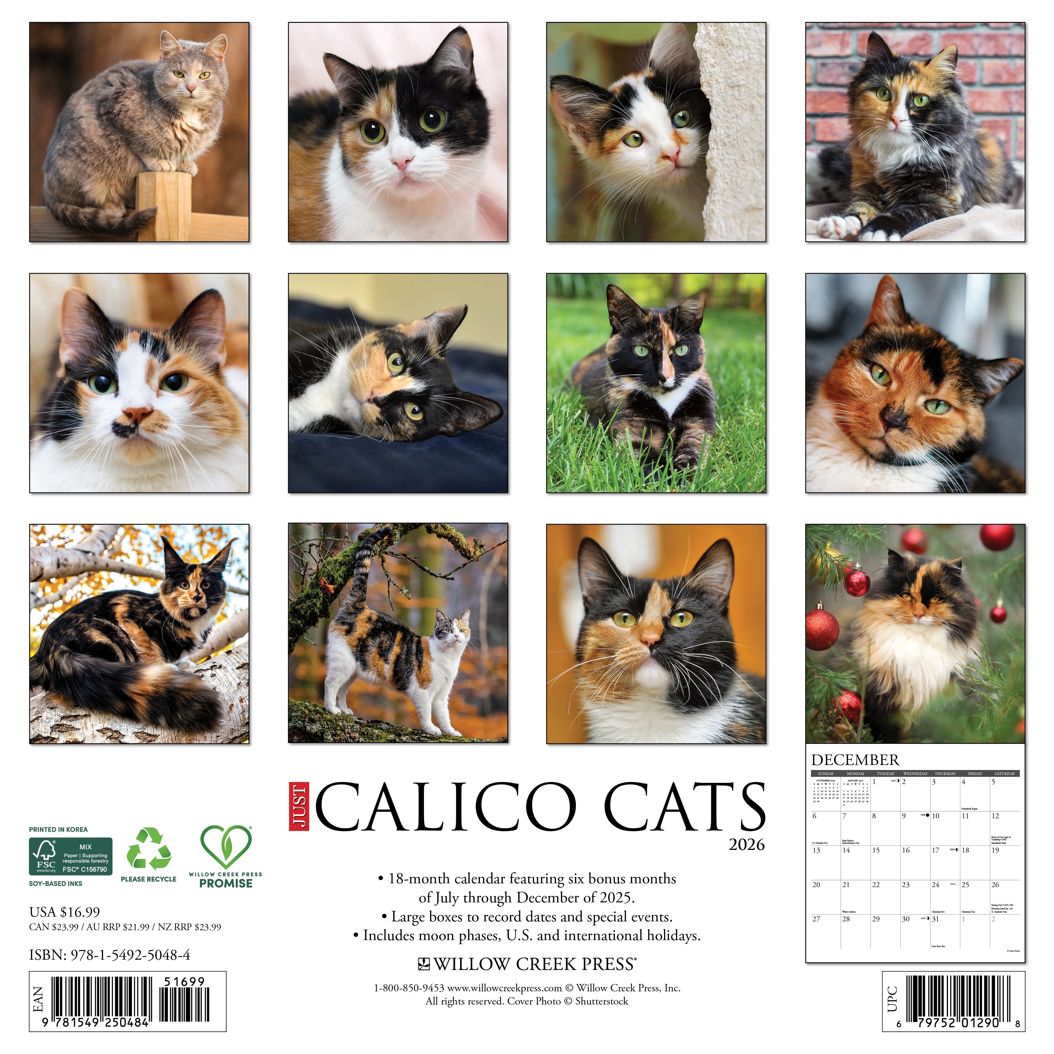 2026 Calico Cats - Square Wall Calendar